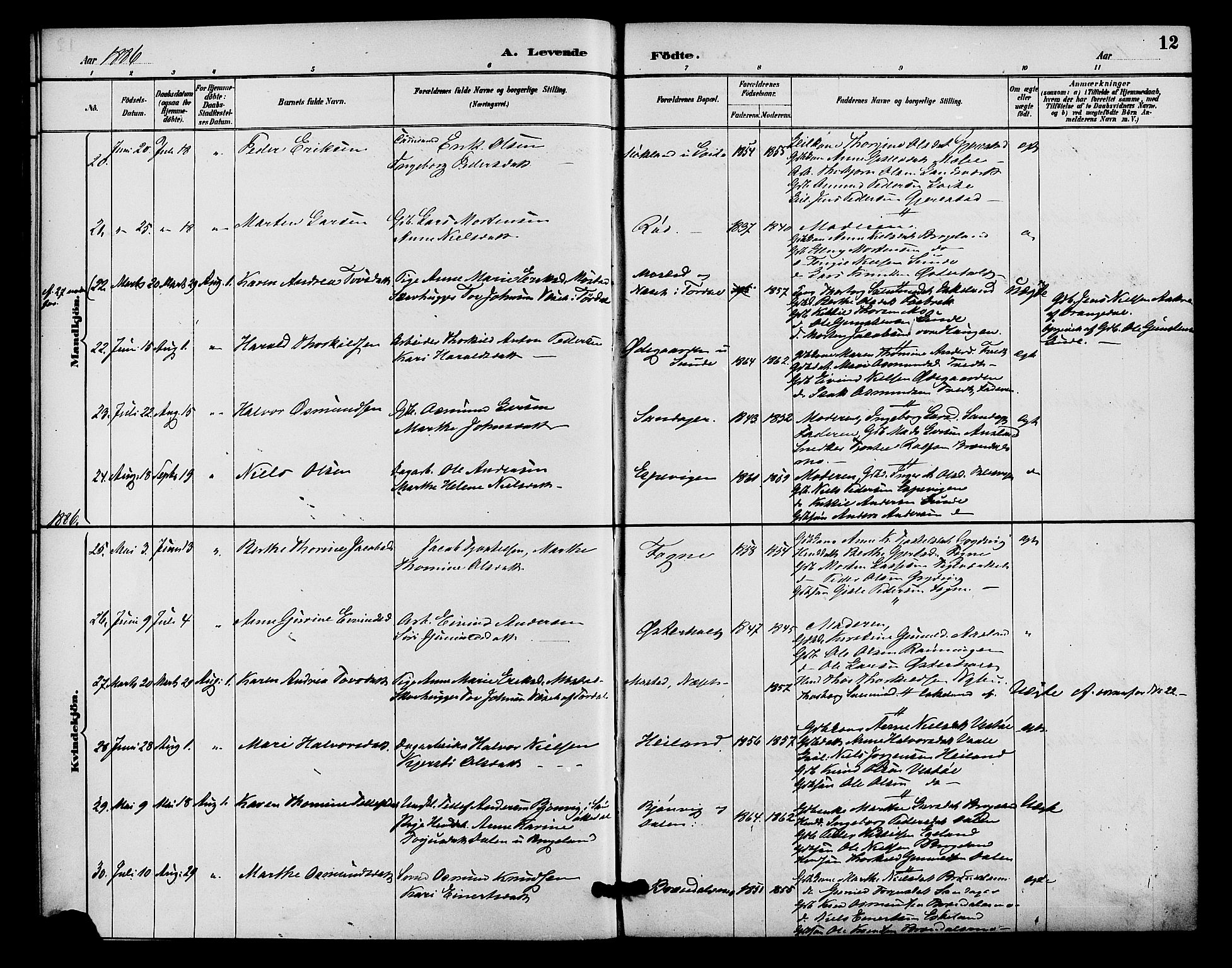 Gjerstad sokneprestkontor, AV/SAK-1111-0014/F/Fa/Faa/L0009: Parish register (official) no. A 9, 1885-1890, p. 12