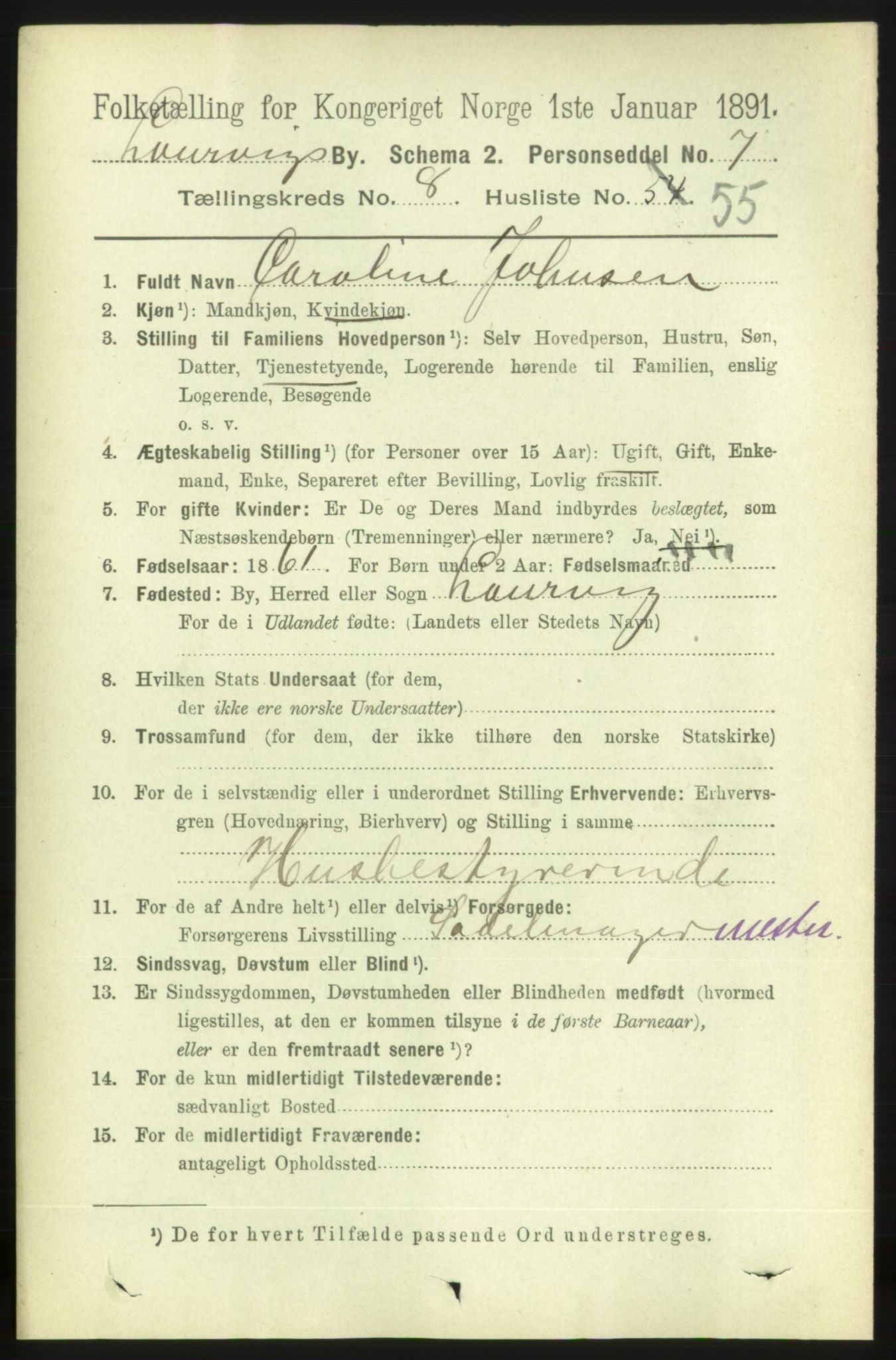 RA, 1891 census for 0707 Larvik, 1891, p. 8485