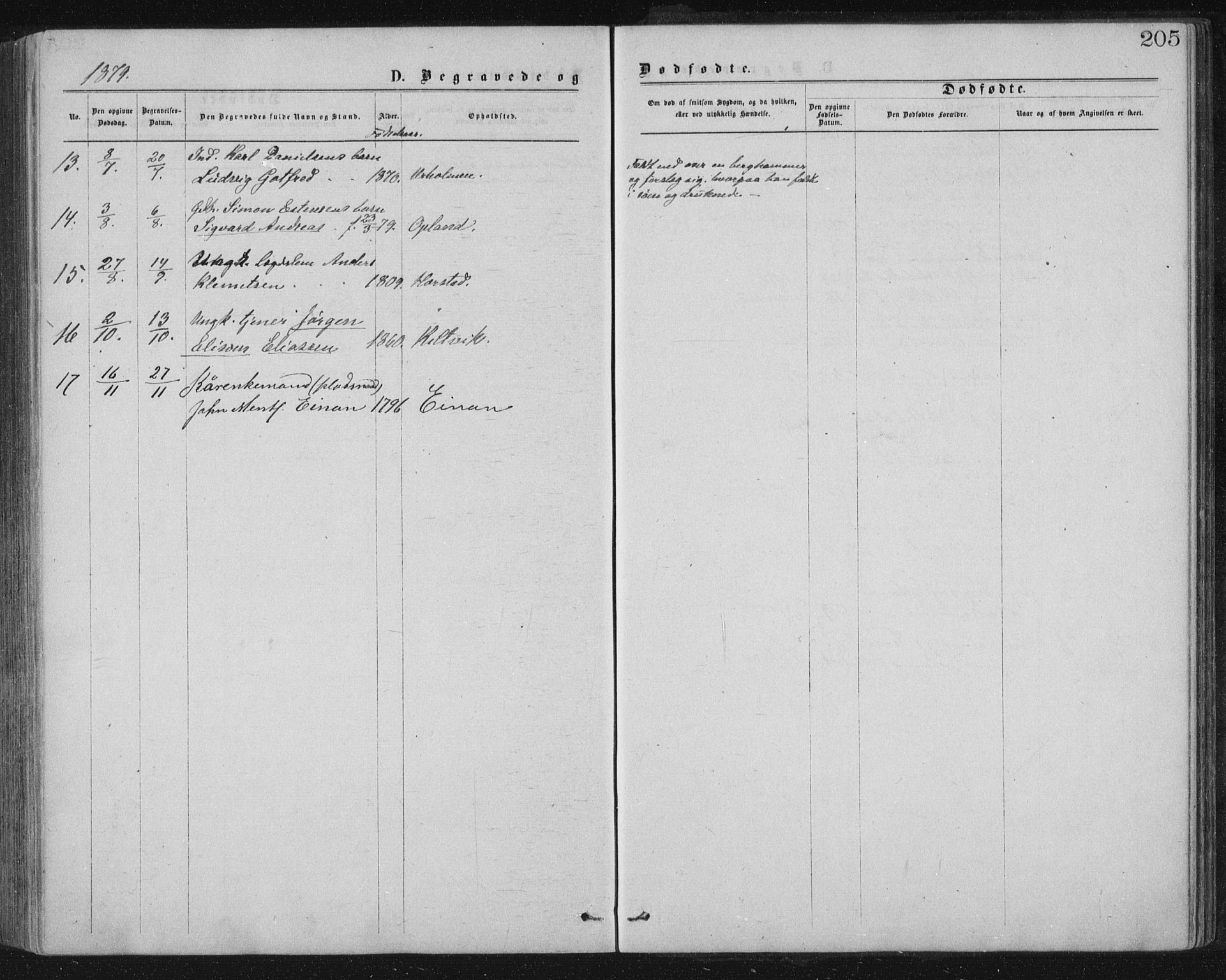 Ministerialprotokoller, klokkerbøker og fødselsregistre - Nord-Trøndelag, SAT/A-1458/771/L0596: Parish register (official) no. 771A03, 1870-1884, p. 205