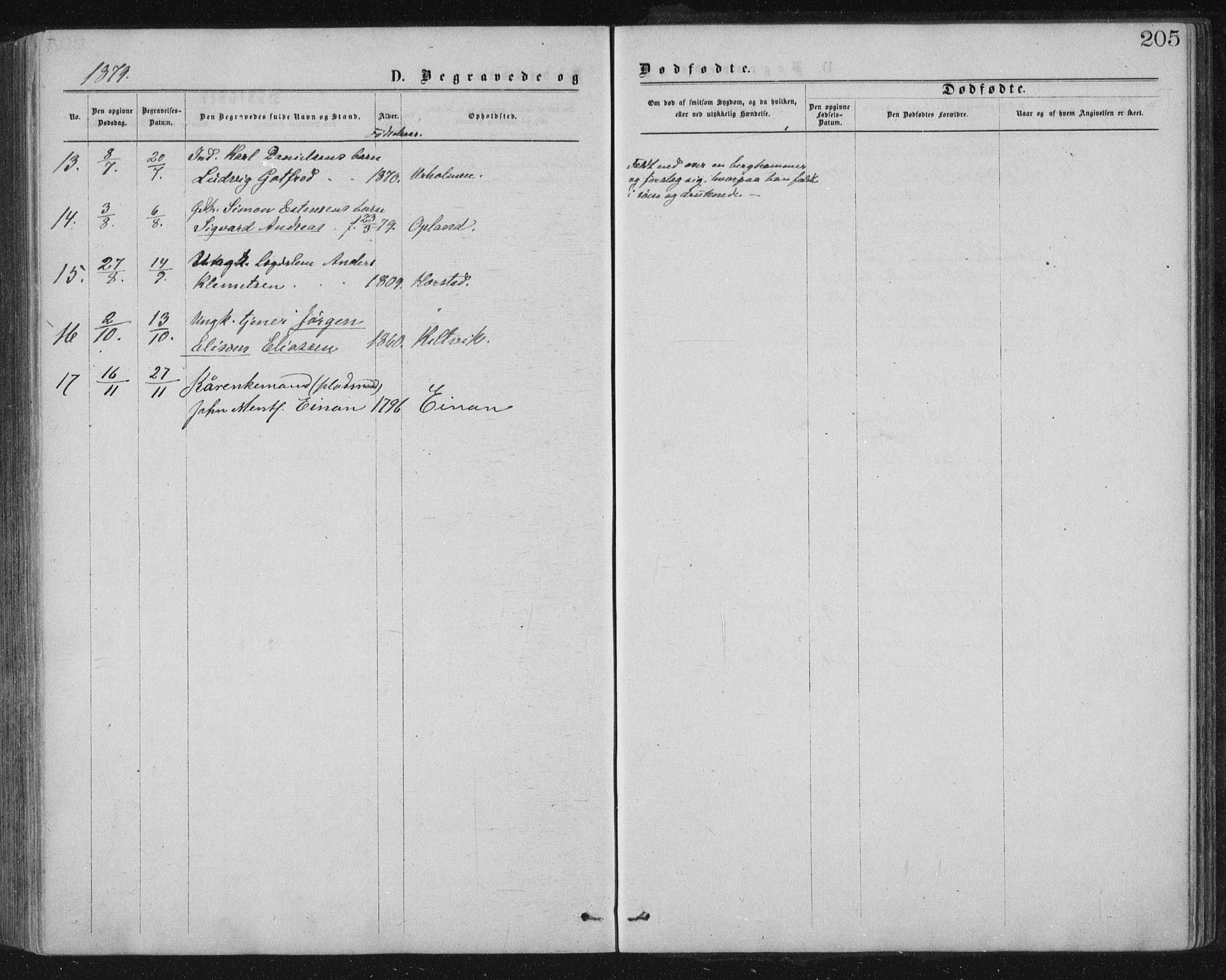 Ministerialprotokoller, klokkerbøker og fødselsregistre - Nord-Trøndelag, AV/SAT-A-1458/771/L0596: Parish register (official) no. 771A03, 1870-1884, p. 205