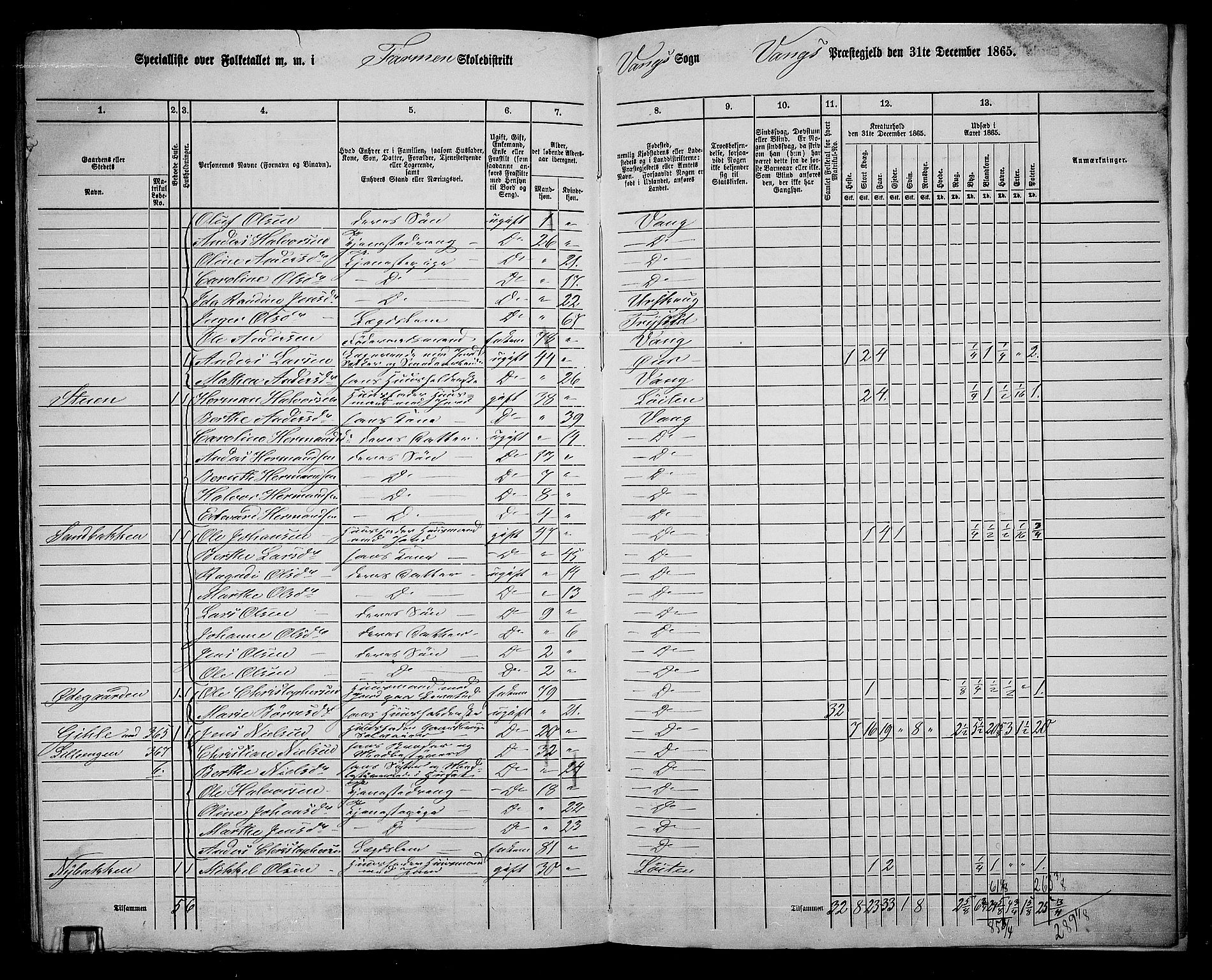 RA, 1865 census for Vang/Vang og Furnes, 1865, p. 326