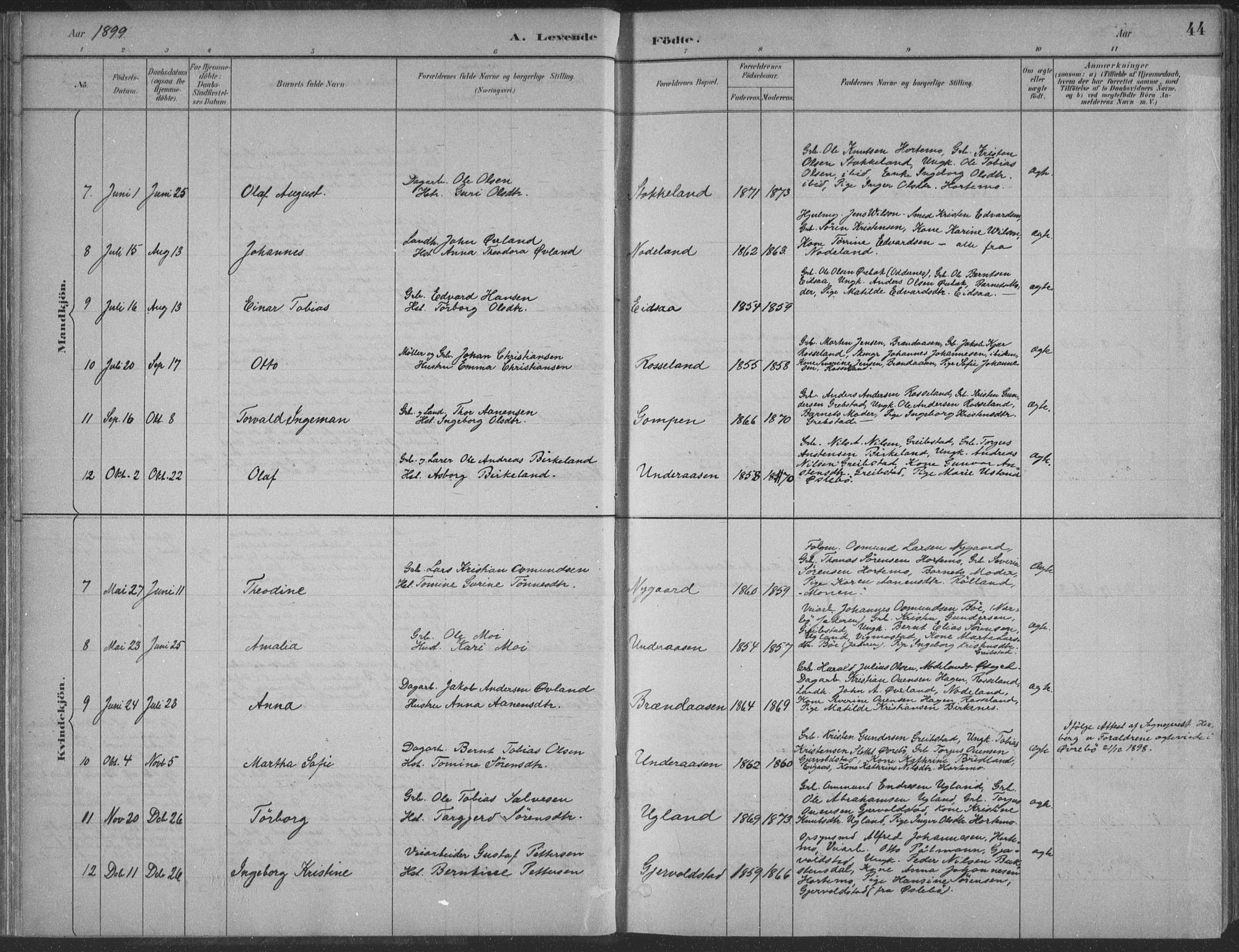 Søgne sokneprestkontor, AV/SAK-1111-0037/F/Fa/Faa/L0003: Parish register (official) no. A 3, 1883-1910, p. 44