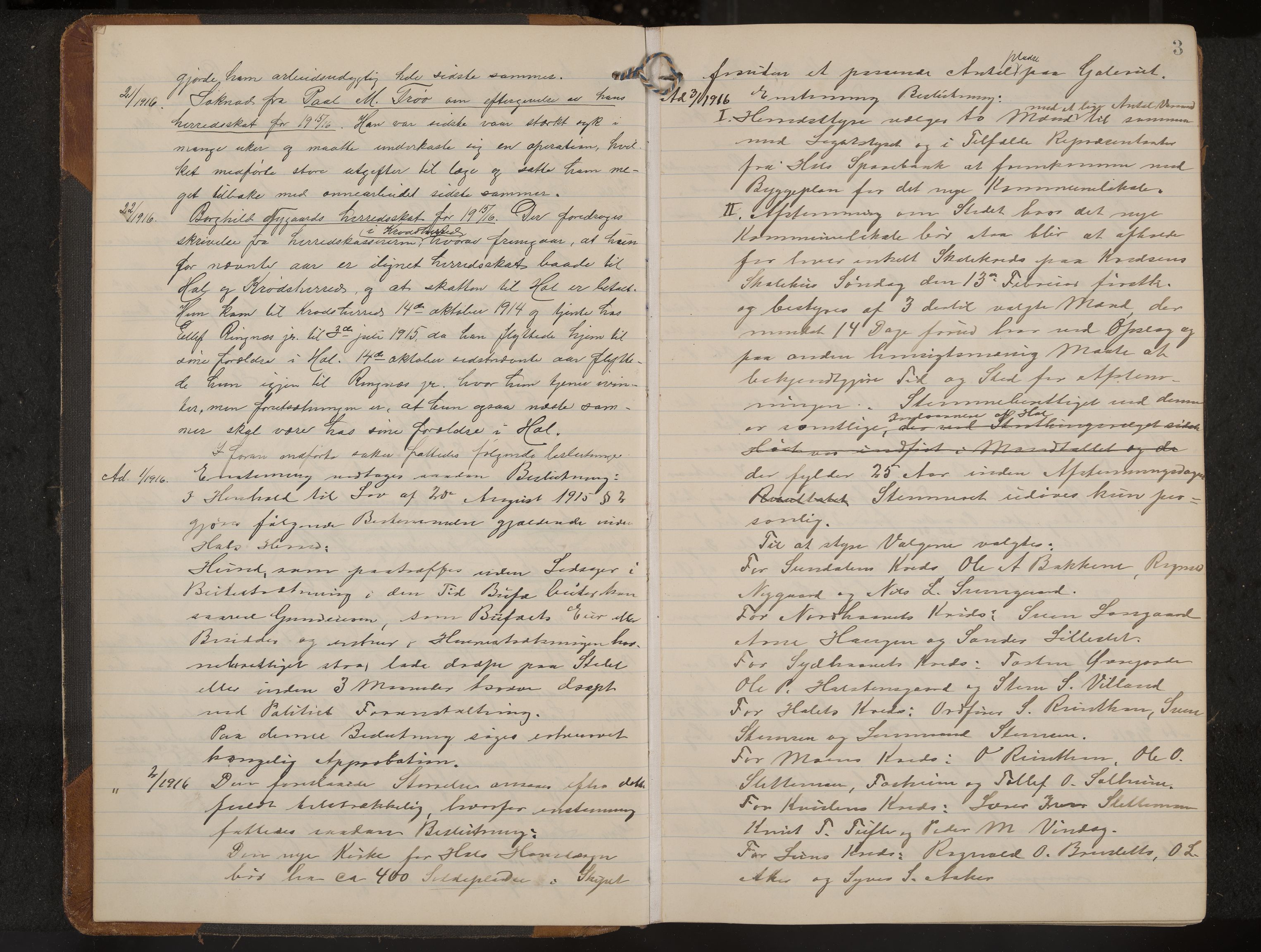 Hol formannskap og sentraladministrasjon, IKAK/0620021-1/A/L0006: Møtebok, 1916-1922, p. 3