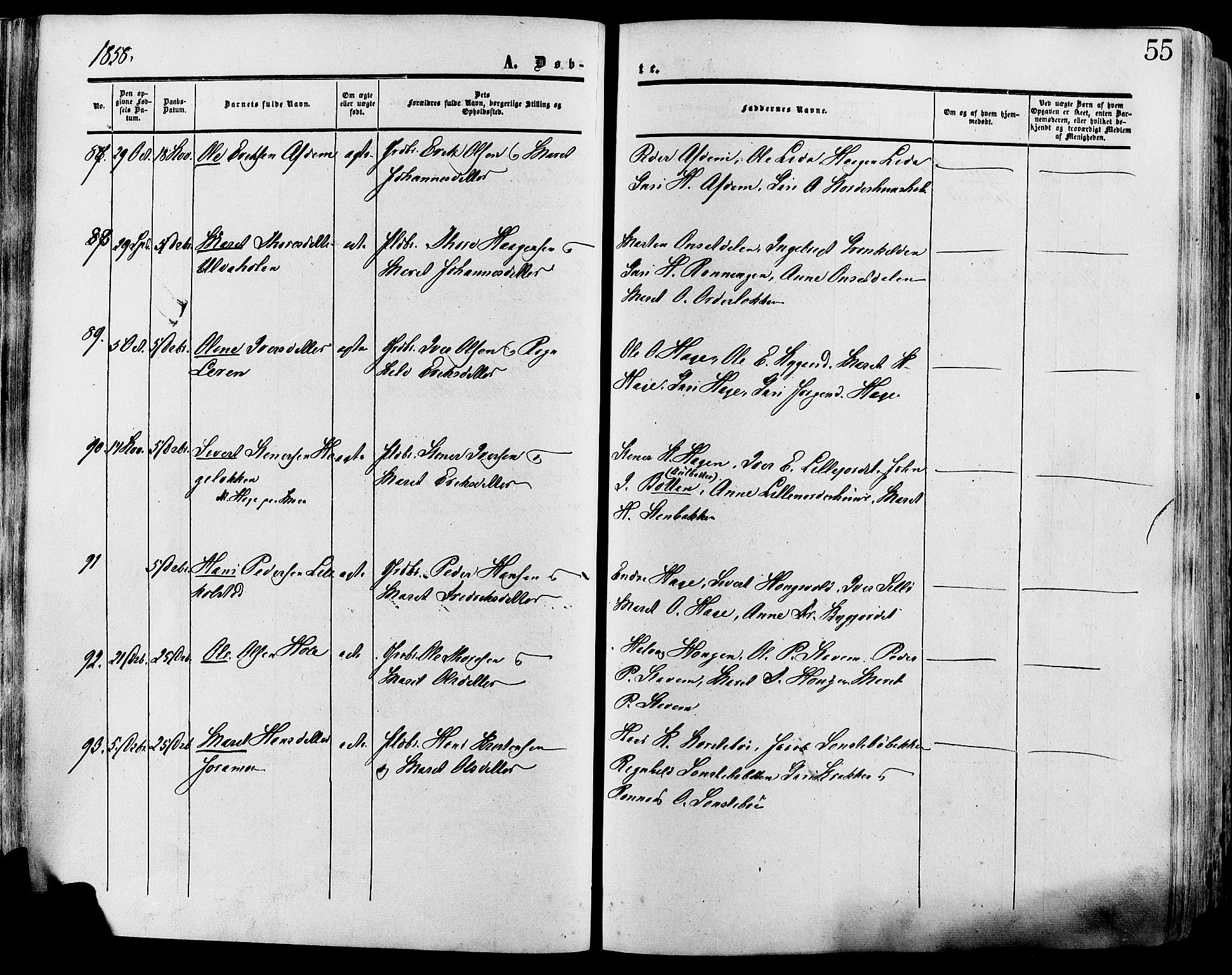 Lesja prestekontor, SAH/PREST-068/H/Ha/Haa/L0008: Parish register (official) no. 8, 1854-1880, p. 55