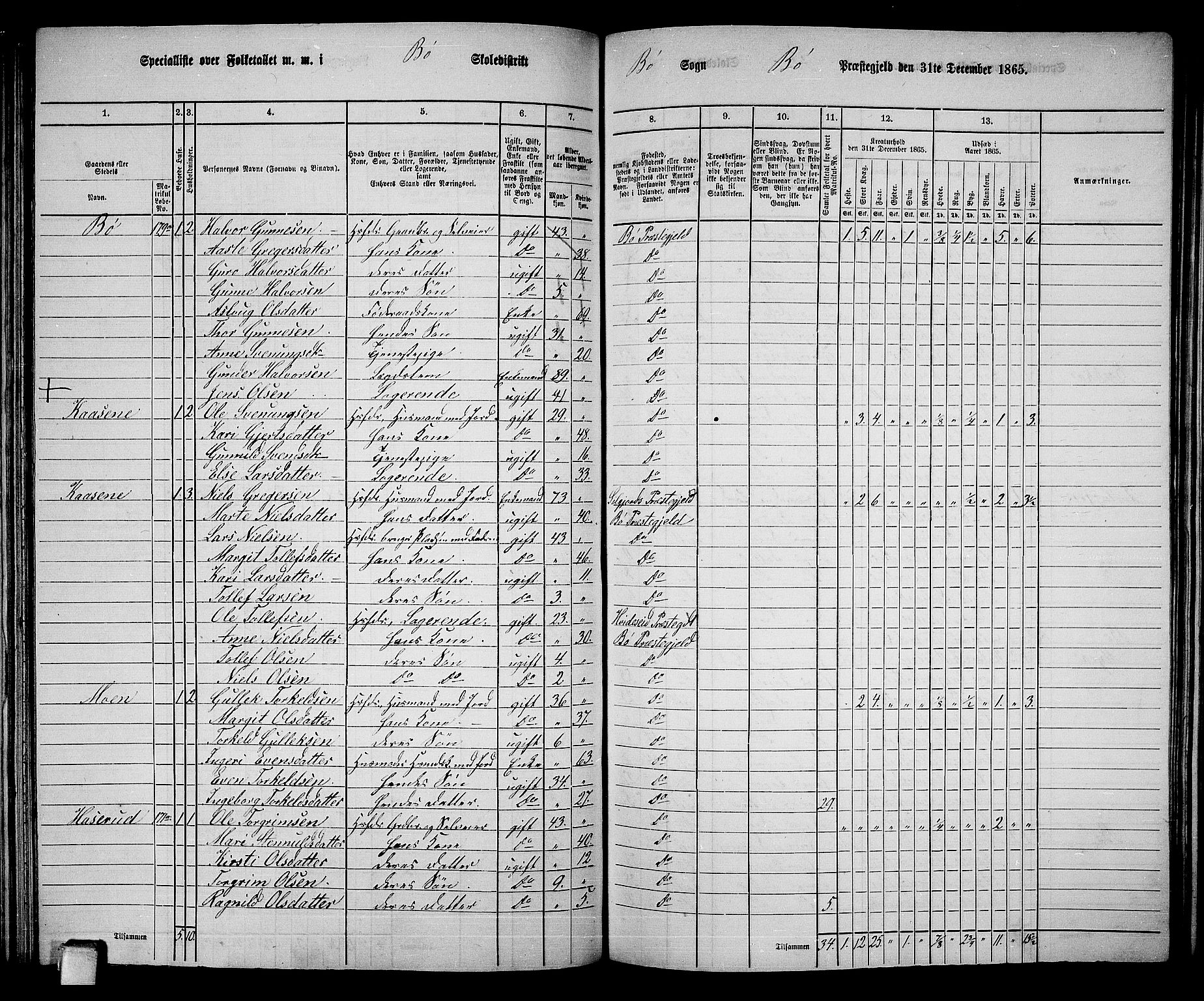 RA, 1865 census for Bø, 1865, p. 97