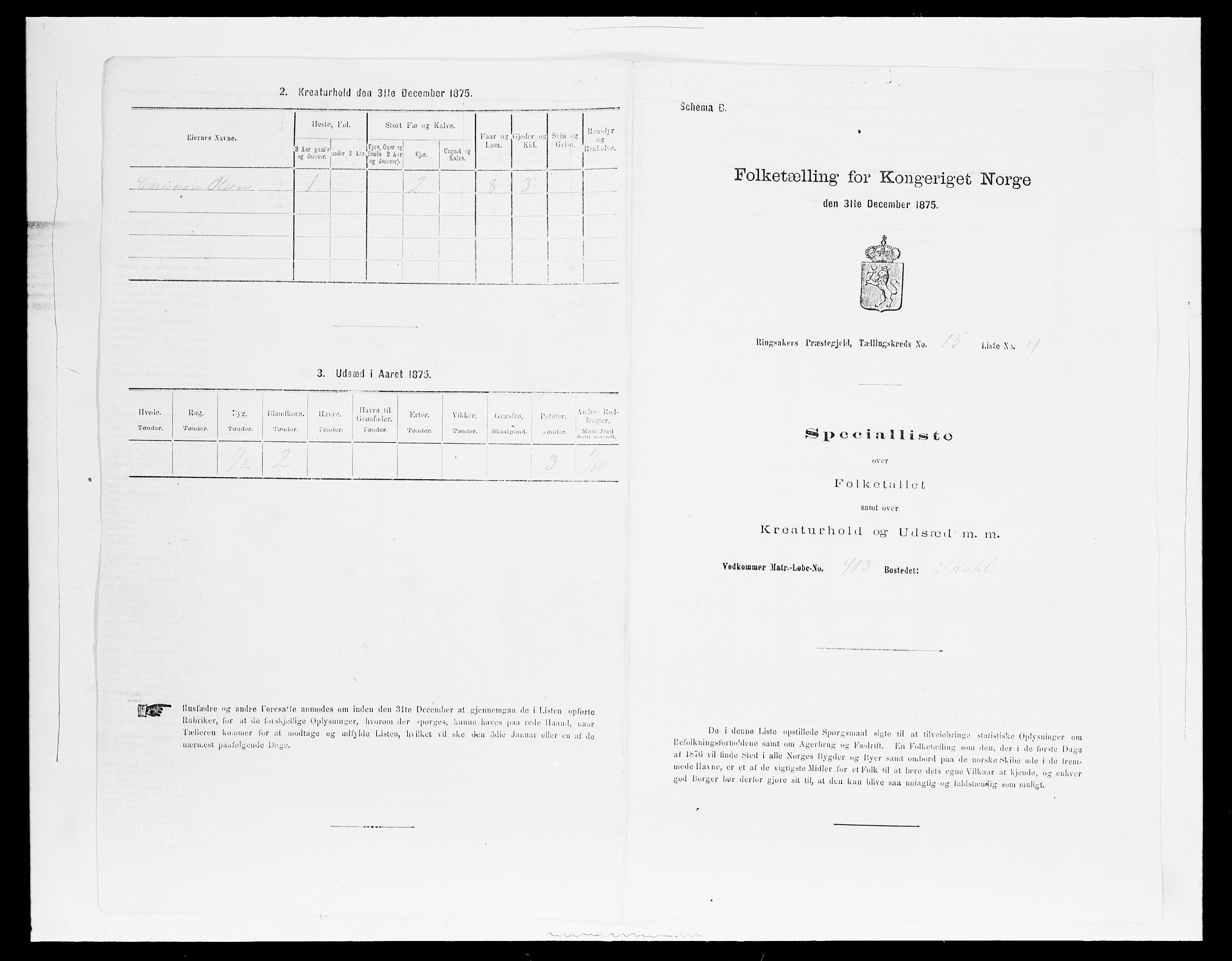 SAH, 1875 census for 0412P Ringsaker, 1875, p. 3148