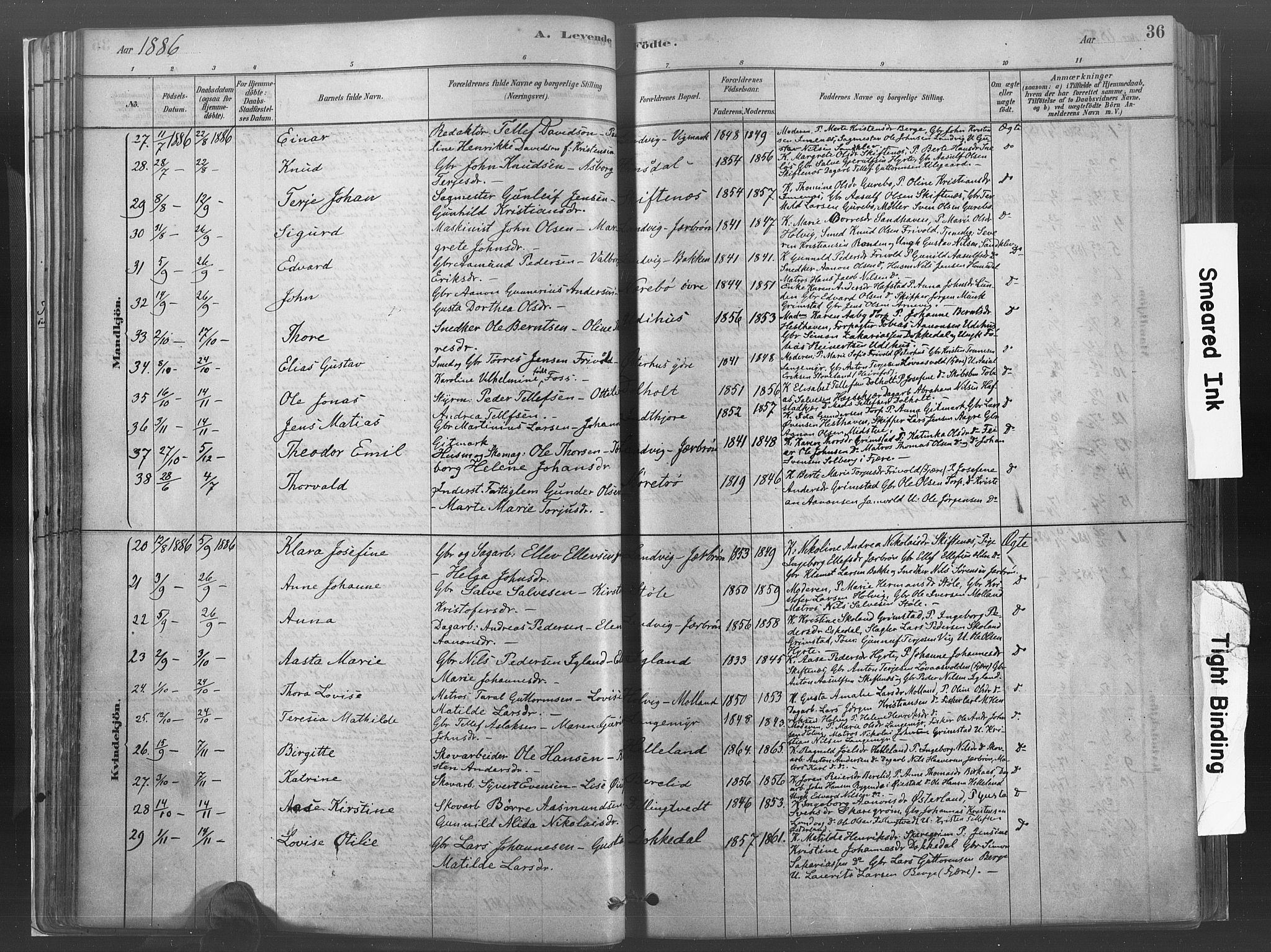 Hommedal sokneprestkontor, AV/SAK-1111-0023/F/Fa/Fab/L0006: Parish register (official) no. A 6, 1878-1897, p. 36