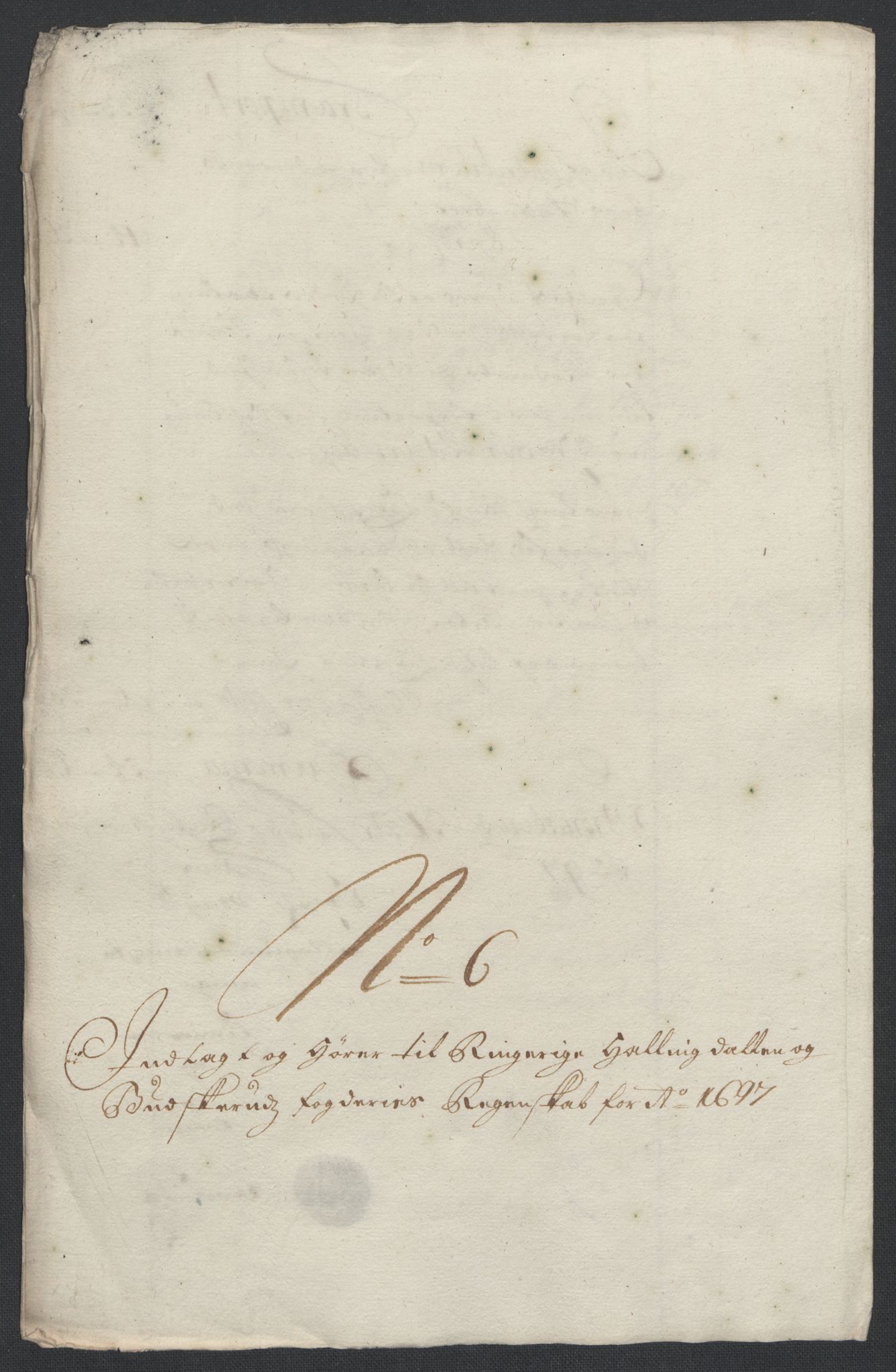 Rentekammeret inntil 1814, Reviderte regnskaper, Fogderegnskap, AV/RA-EA-4092/R22/L1454: Fogderegnskap Ringerike, Hallingdal og Buskerud, 1697, p. 255