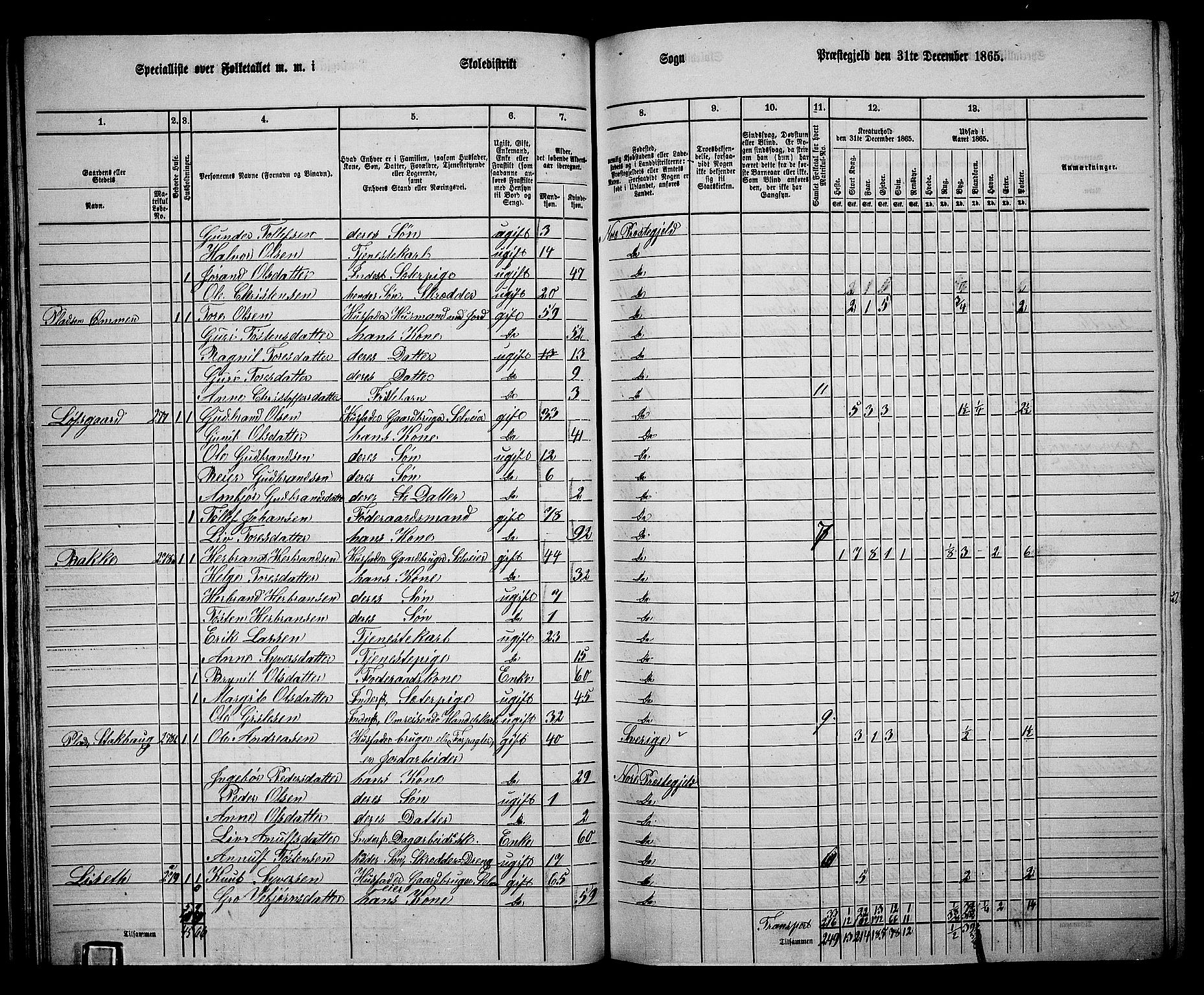 RA, 1865 census for Nore, 1865, p. 37