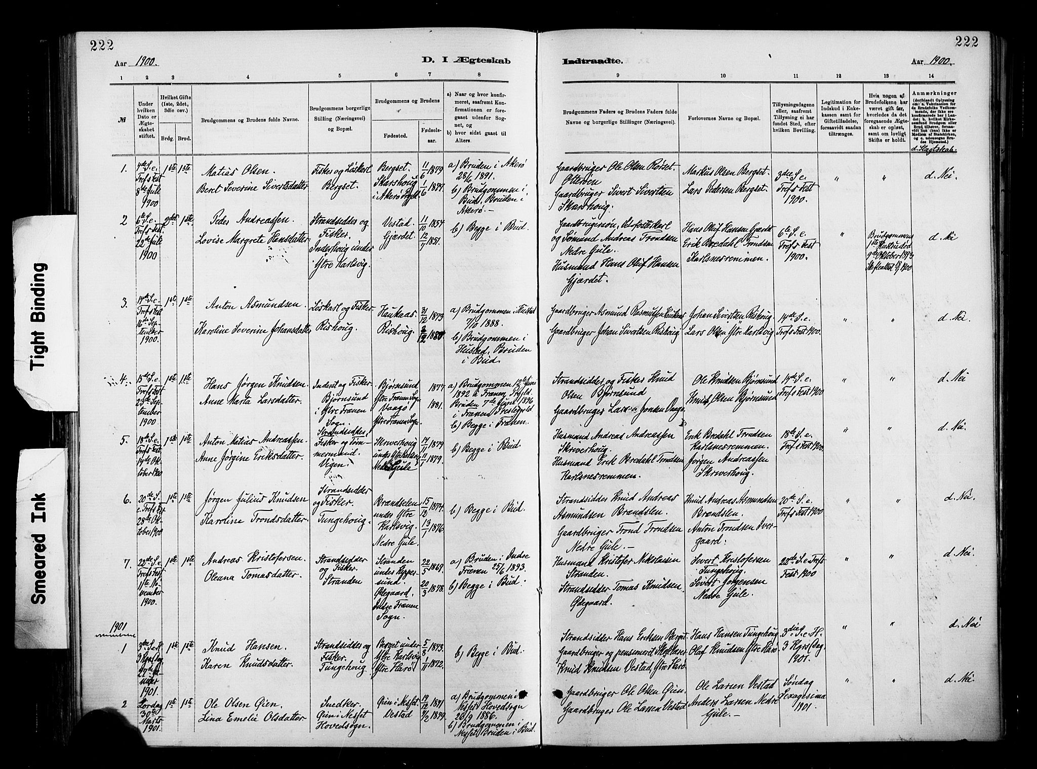 Ministerialprotokoller, klokkerbøker og fødselsregistre - Møre og Romsdal, SAT/A-1454/566/L0769: Parish register (official) no. 566A08, 1881-1903, p. 222
