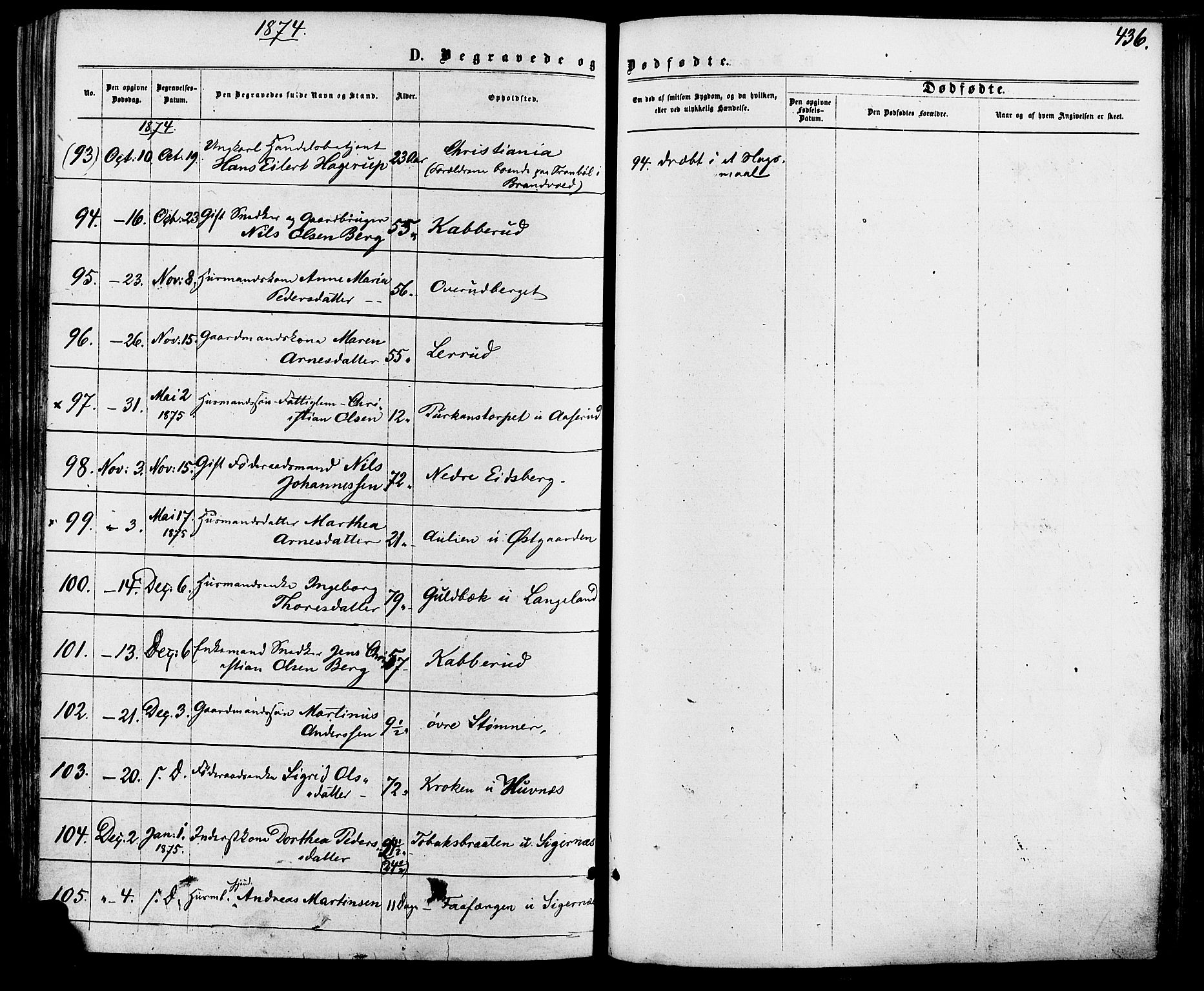 Vinger prestekontor, AV/SAH-PREST-024/H/Ha/Haa/L0012: Parish register (official) no. 12, 1871-1880, p. 436