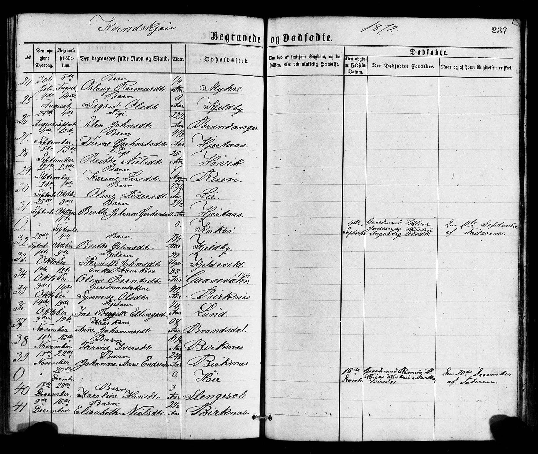 Gulen sokneprestembete, SAB/A-80201/H/Haa/Haaa/L0023: Parish register (official) no. A 23, 1870-1880, p. 237