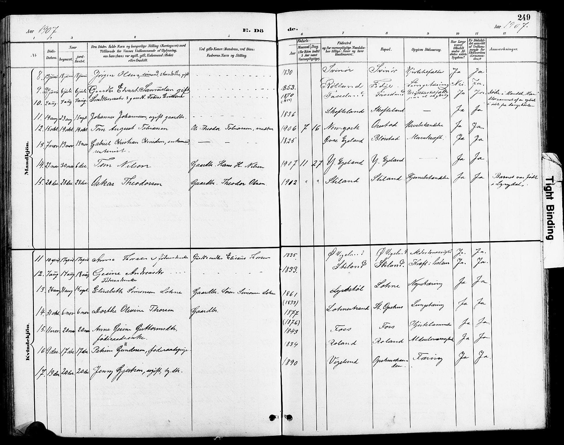 Sør-Audnedal sokneprestkontor, AV/SAK-1111-0039/F/Fb/Fbb/L0006: Parish register (copy) no. B 6, 1893-1915, p. 249