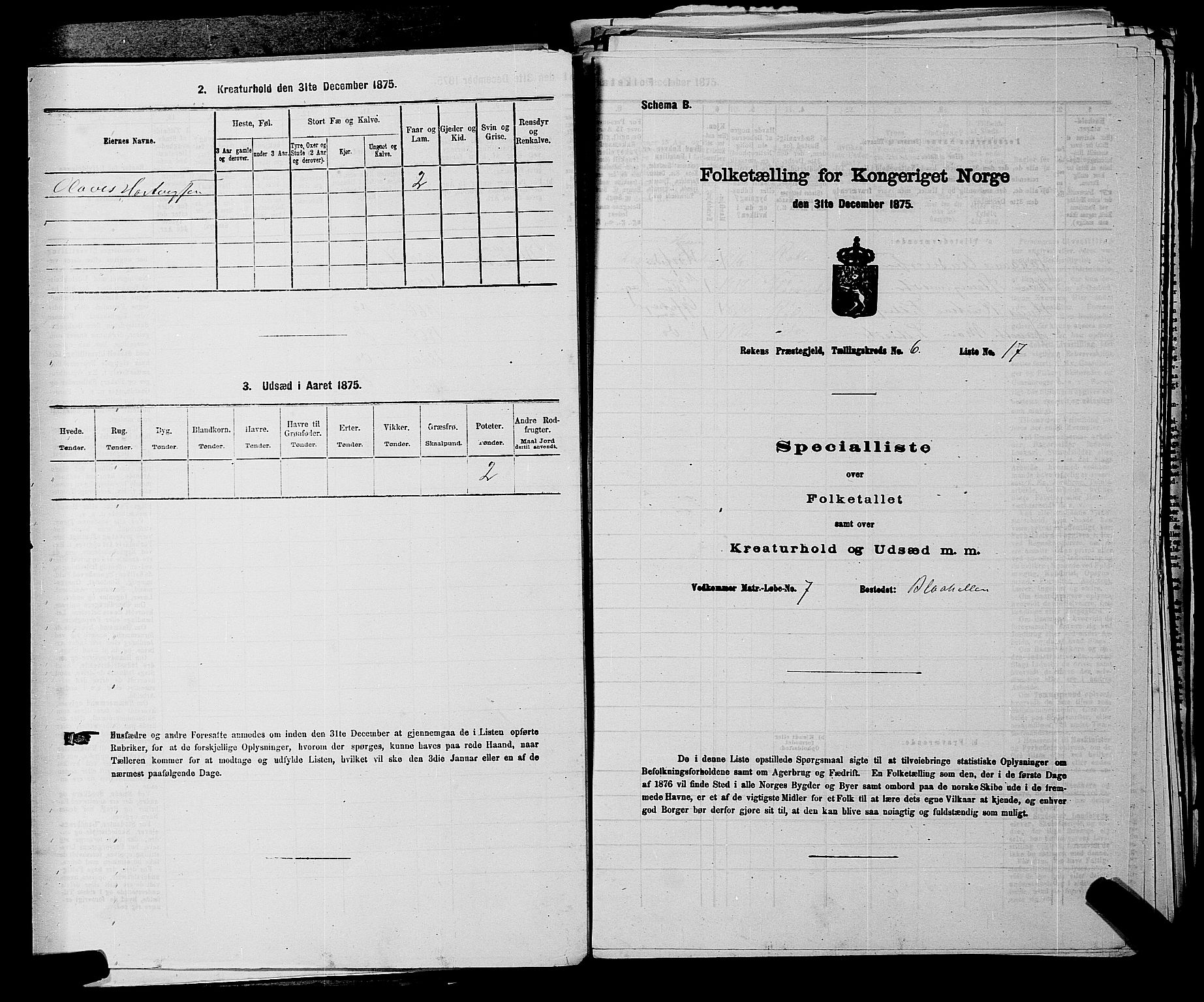 SAKO, 1875 census for 0627P Røyken, 1875, p. 870