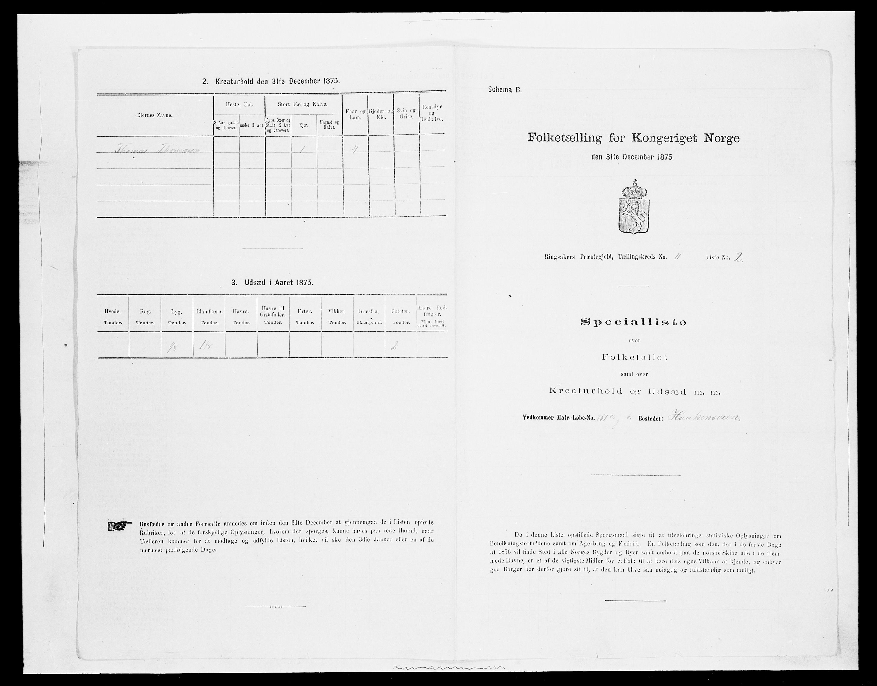 SAH, 1875 census for 0412P Ringsaker, 1875, p. 2165