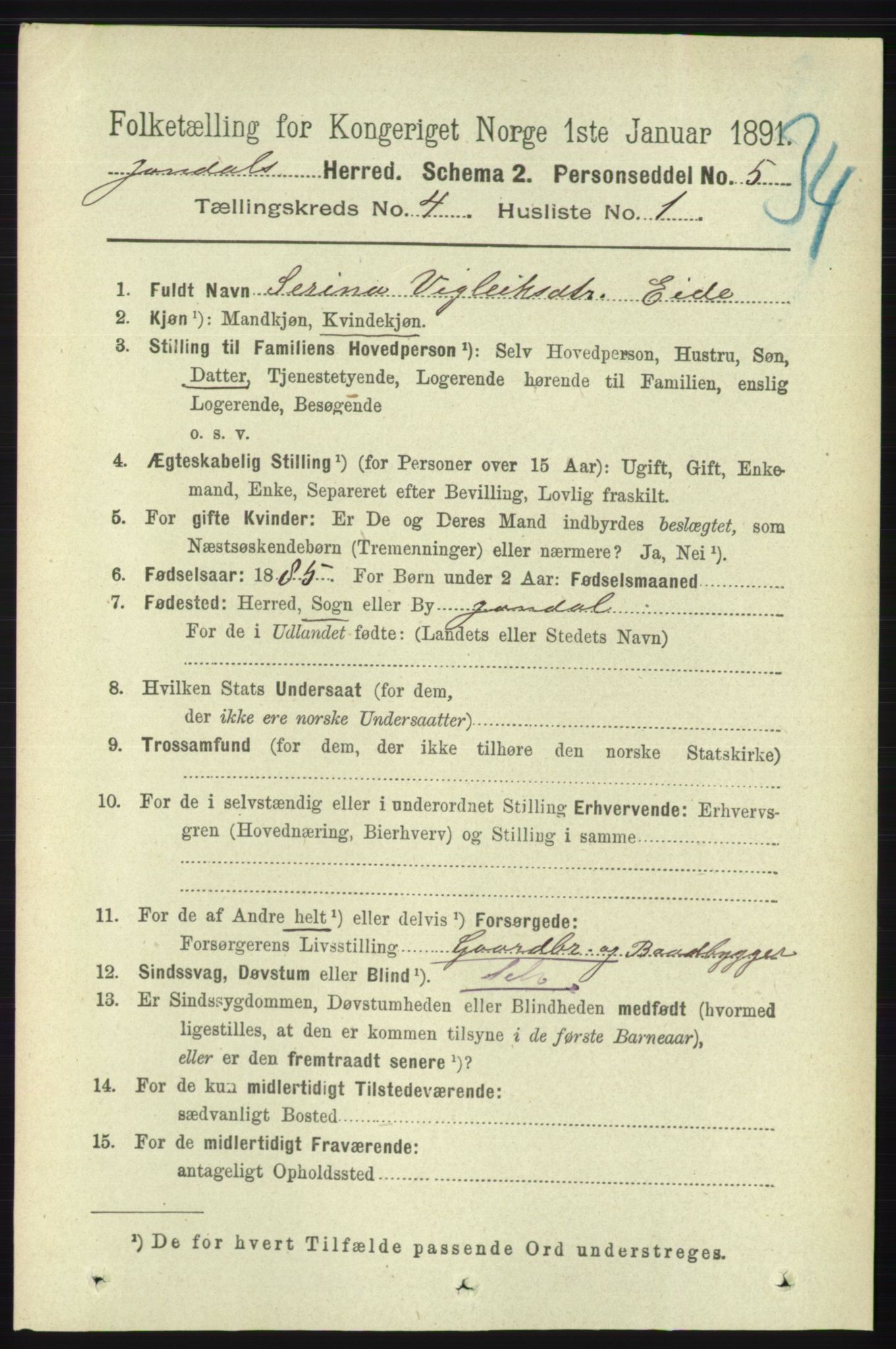 RA, 1891 census for 1227 Jondal, 1891, p. 2065