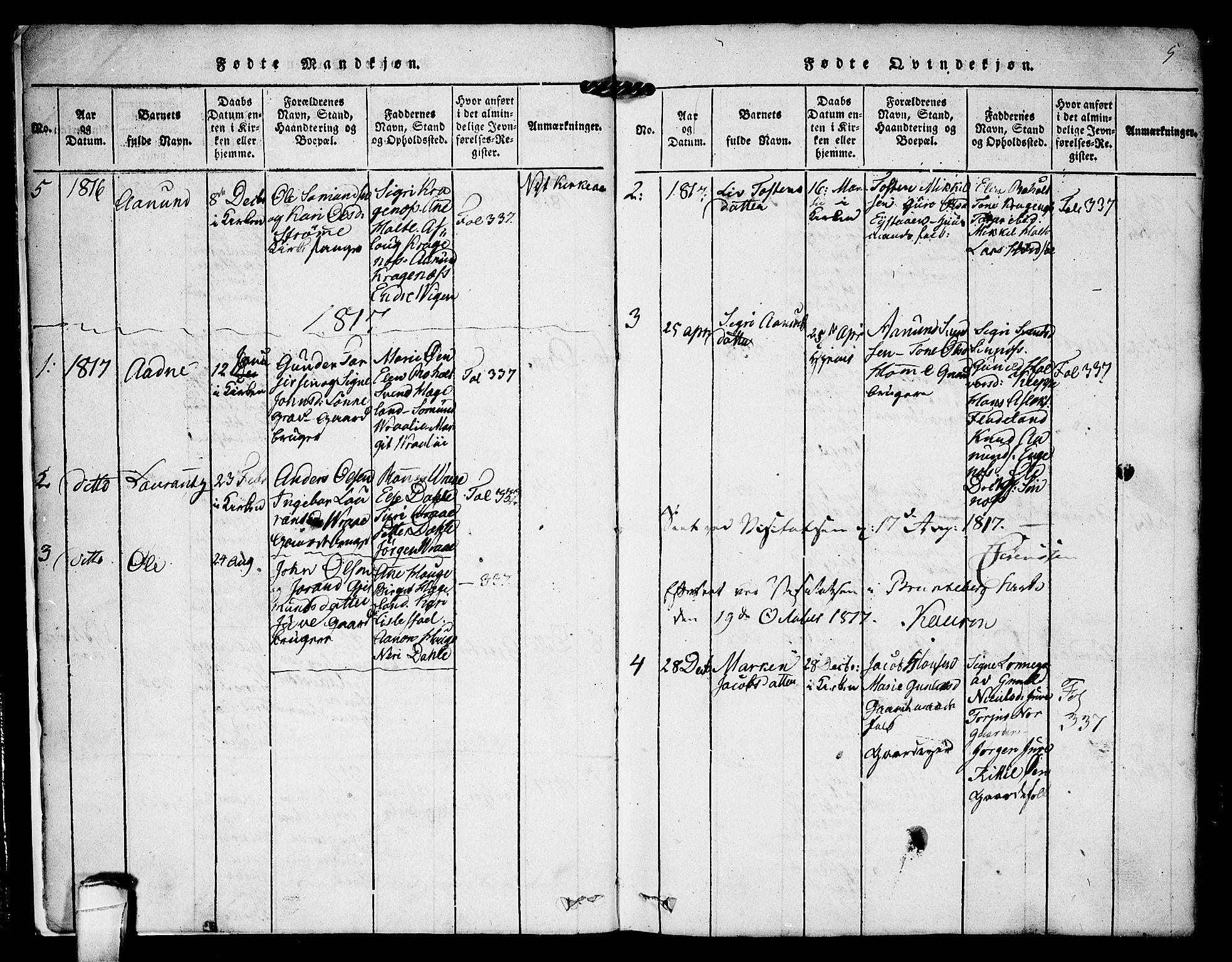 Kviteseid kirkebøker, SAKO/A-276/F/Fc/L0001: Parish register (official) no. III 1, 1815-1836, p. 5