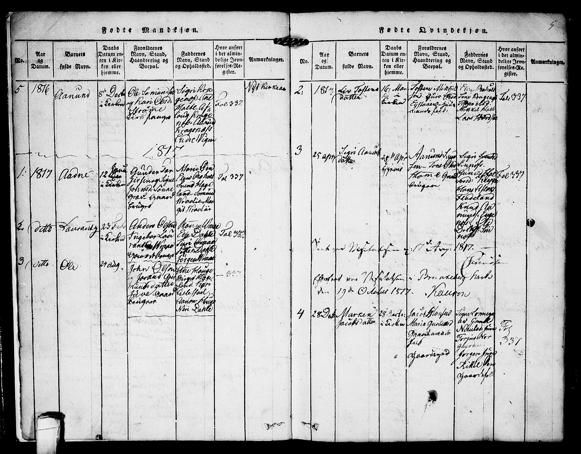 Kviteseid kirkebøker, AV/SAKO-A-276/F/Fc/L0001: Parish register (official) no. III 1, 1815-1836, p. 5