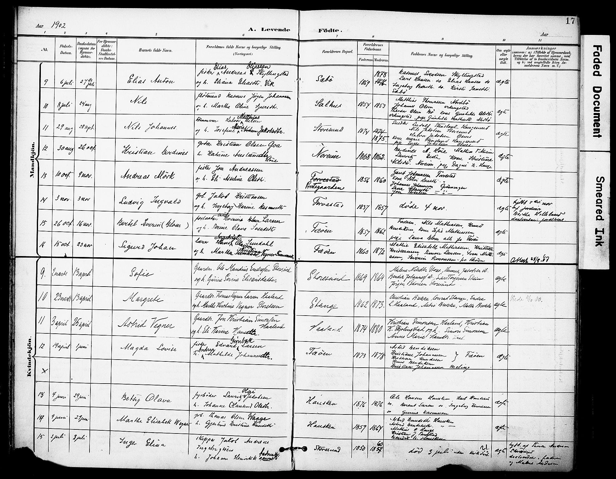 Torvastad sokneprestkontor, AV/SAST-A -101857/H/Ha/Haa/L0017: Parish register (official) no. A 16, 1899-1911, p. 17