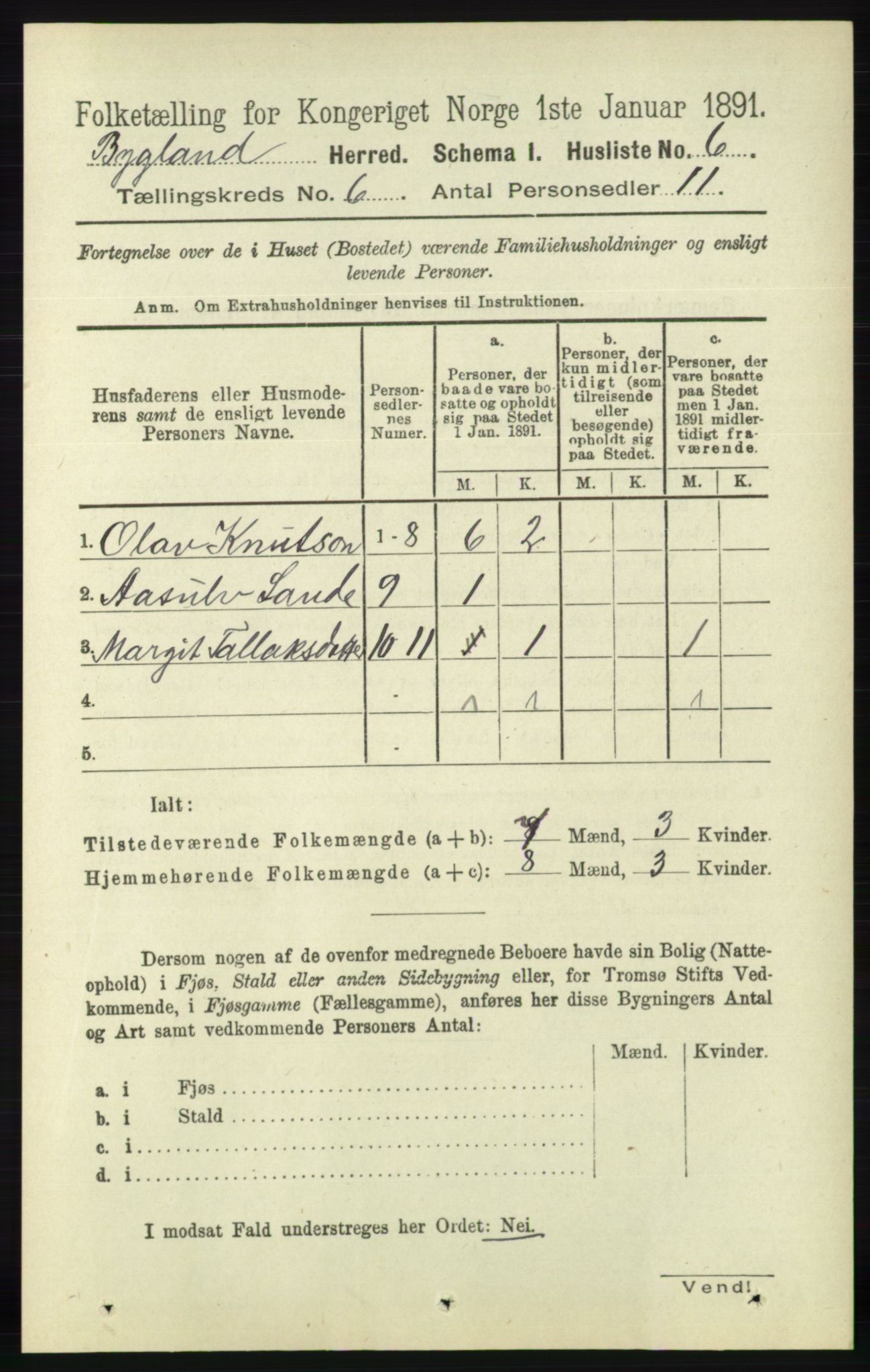 RA, 1891 census for 0938 Bygland, 1891, p. 1313