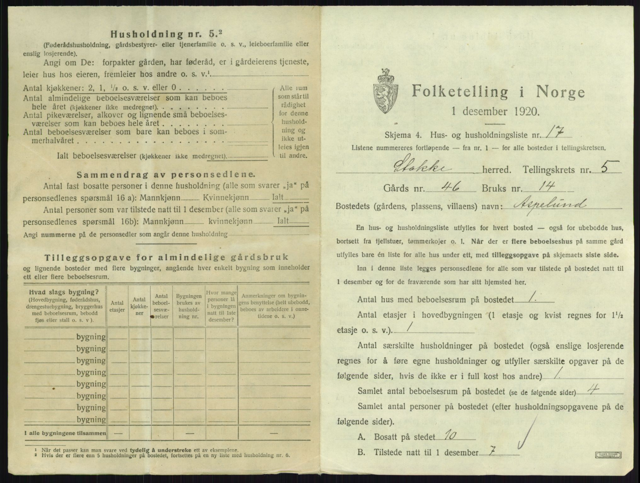 SAKO, 1920 census for Stokke, 1920, p. 1015