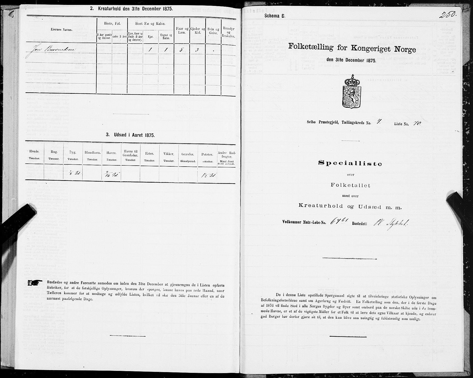 SAT, 1875 census for 1664P Selbu, 1875, p. 2250