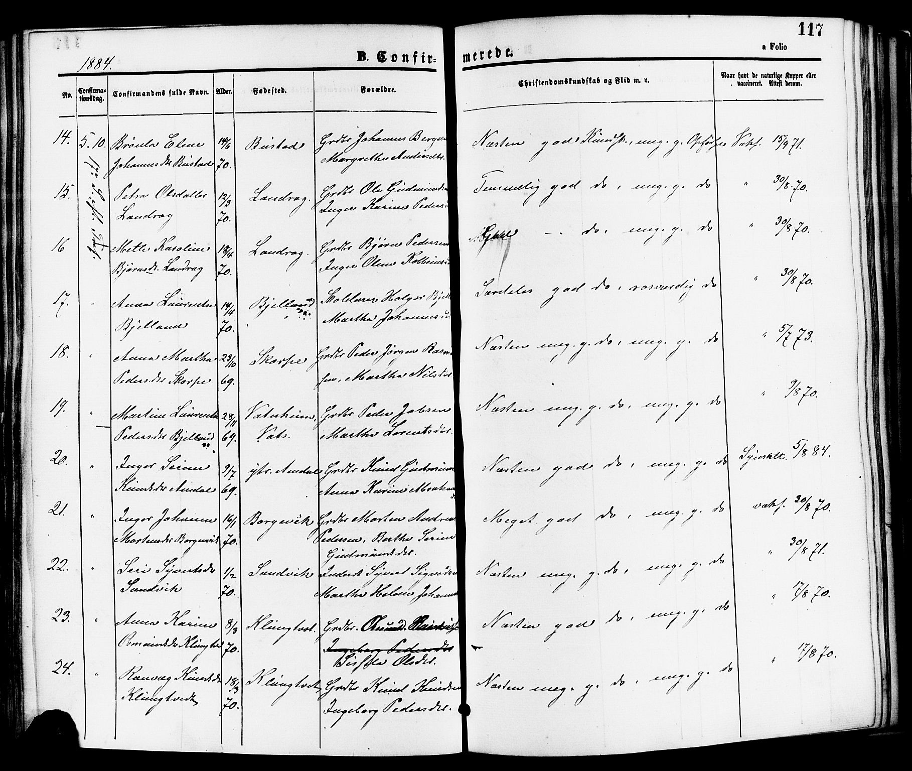 Nedstrand sokneprestkontor, SAST/A-101841/01/IV: Parish register (official) no. A 11, 1877-1887, p. 117