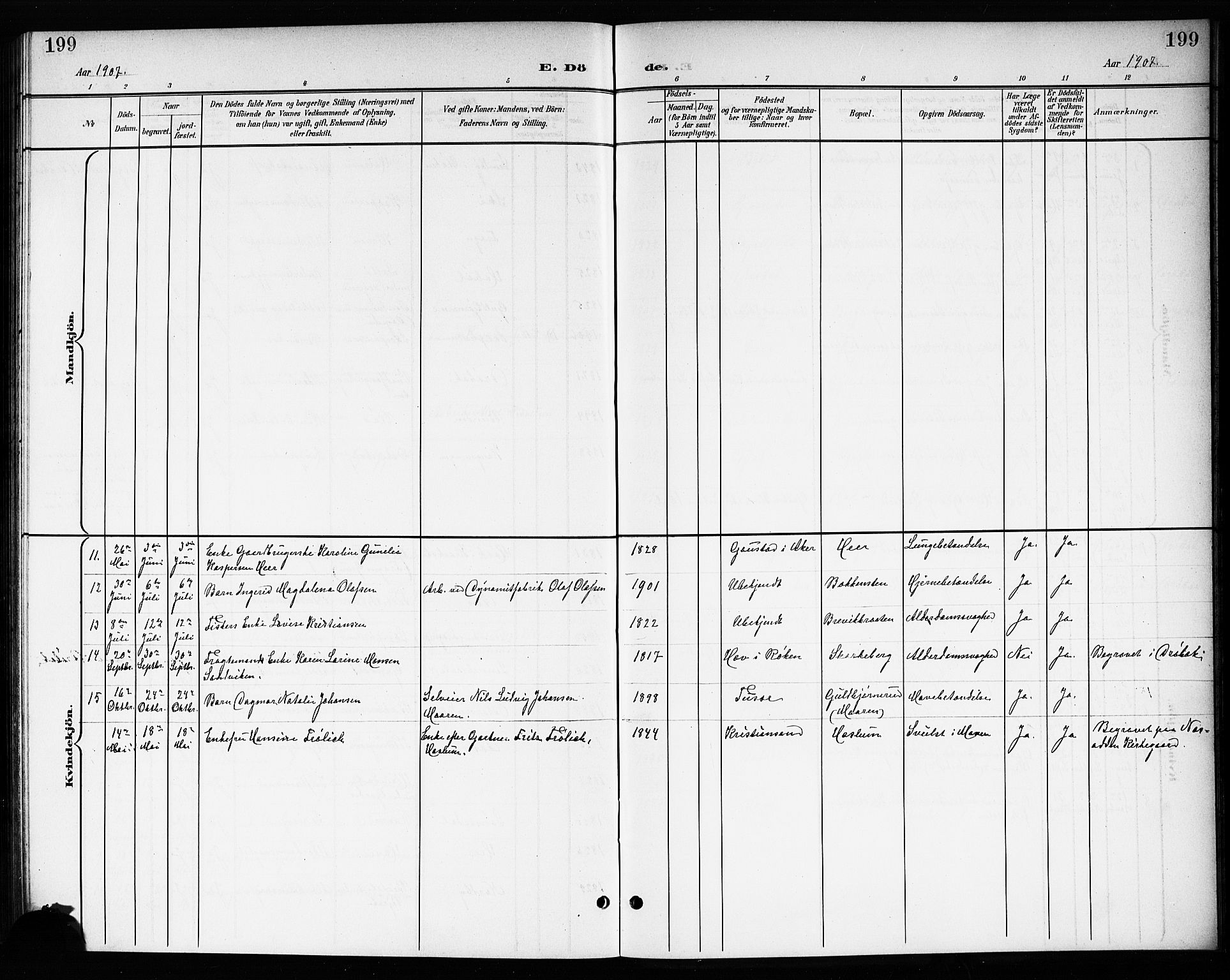 Drøbak prestekontor Kirkebøker, SAO/A-10142a/G/Gb/L0001: Parish register (copy) no. II 1, 1901-1919, p. 199