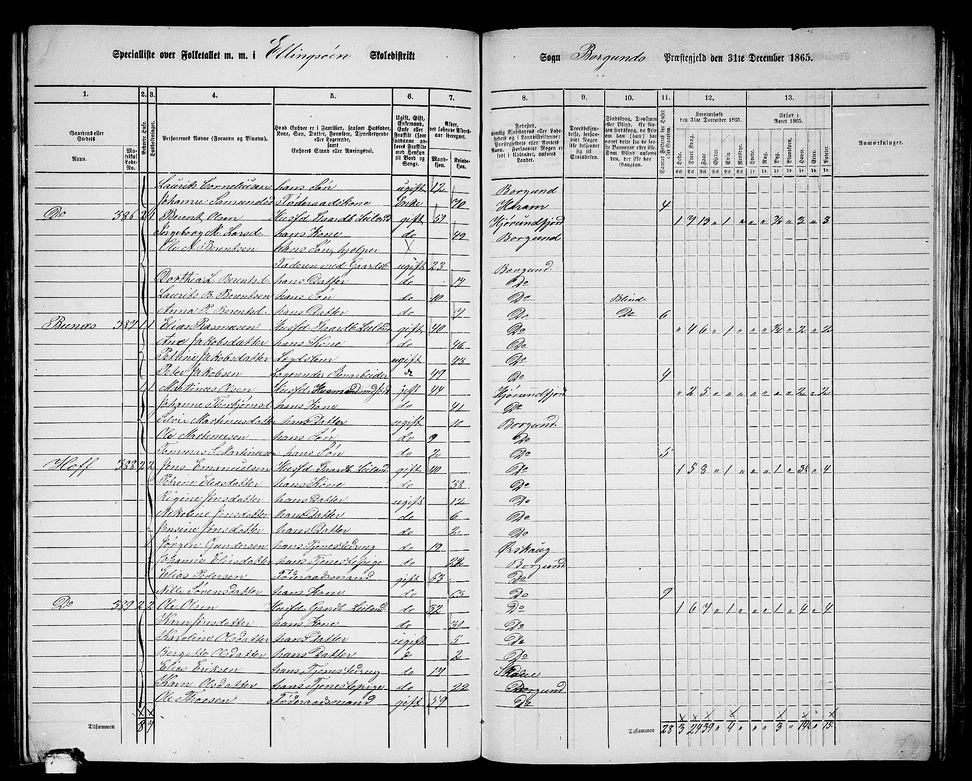 RA, 1865 census for Borgund, 1865, p. 199