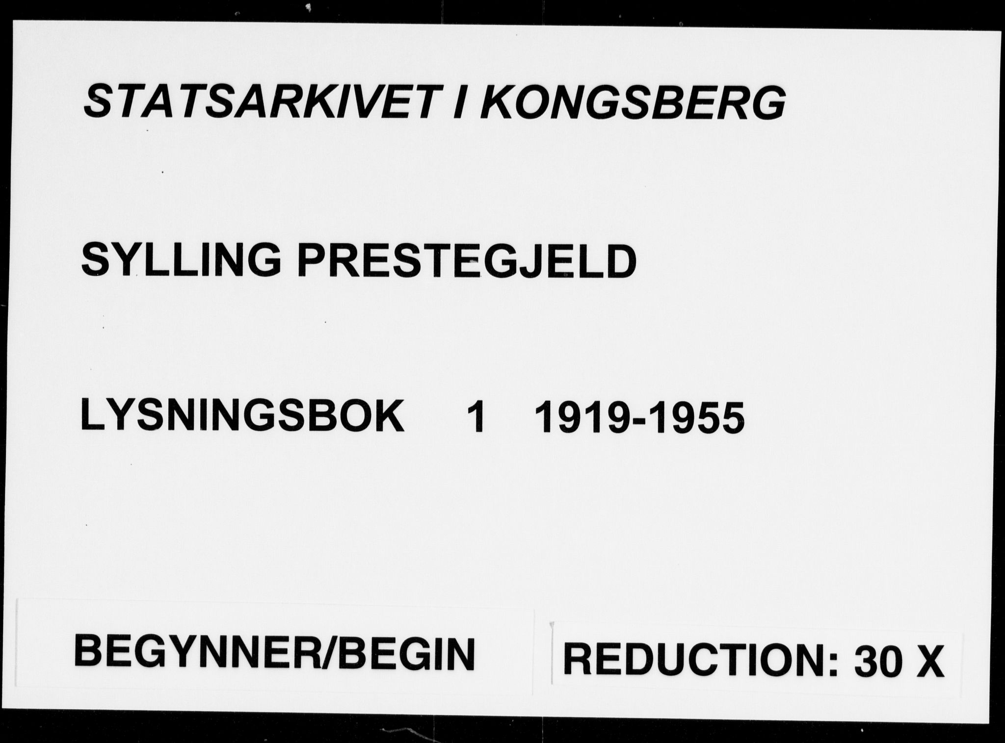 Sylling kirkebøker, AV/SAKO-A-247/H/Ha/L0001: Banns register no. 1, 1919-1955