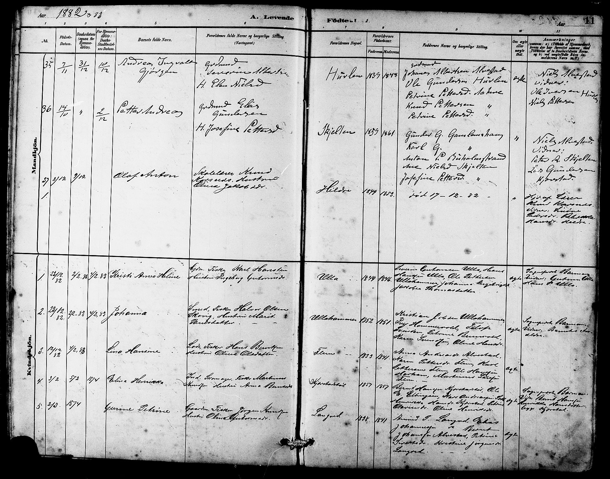 Ministerialprotokoller, klokkerbøker og fødselsregistre - Møre og Romsdal, AV/SAT-A-1454/536/L0510: Parish register (copy) no. 536C05, 1881-1898, p. 11