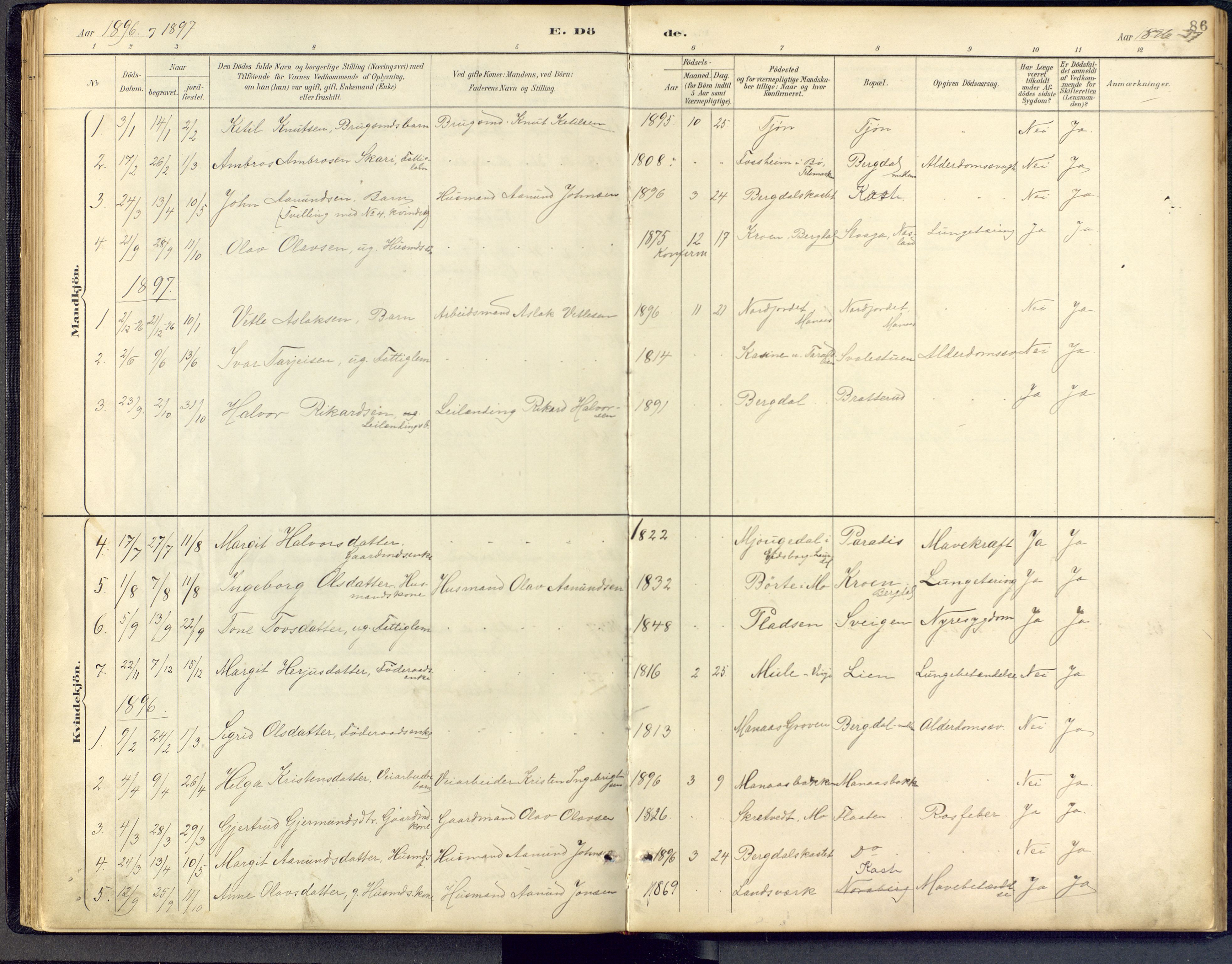 Vinje kirkebøker, SAKO/A-312/F/Fb/L0002: Parish register (official) no. II 2, 1887-1925, p. 86