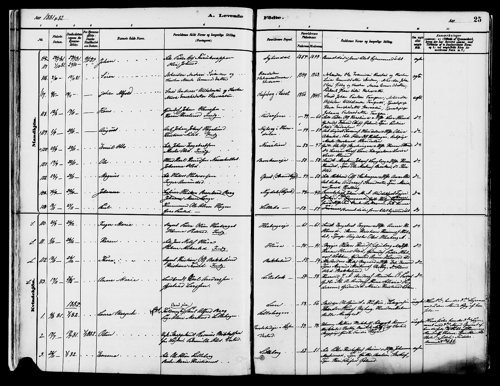 Elverum prestekontor, AV/SAH-PREST-044/H/Ha/Haa/L0013: Parish register (official) no. 13, 1880-1890, p. 25