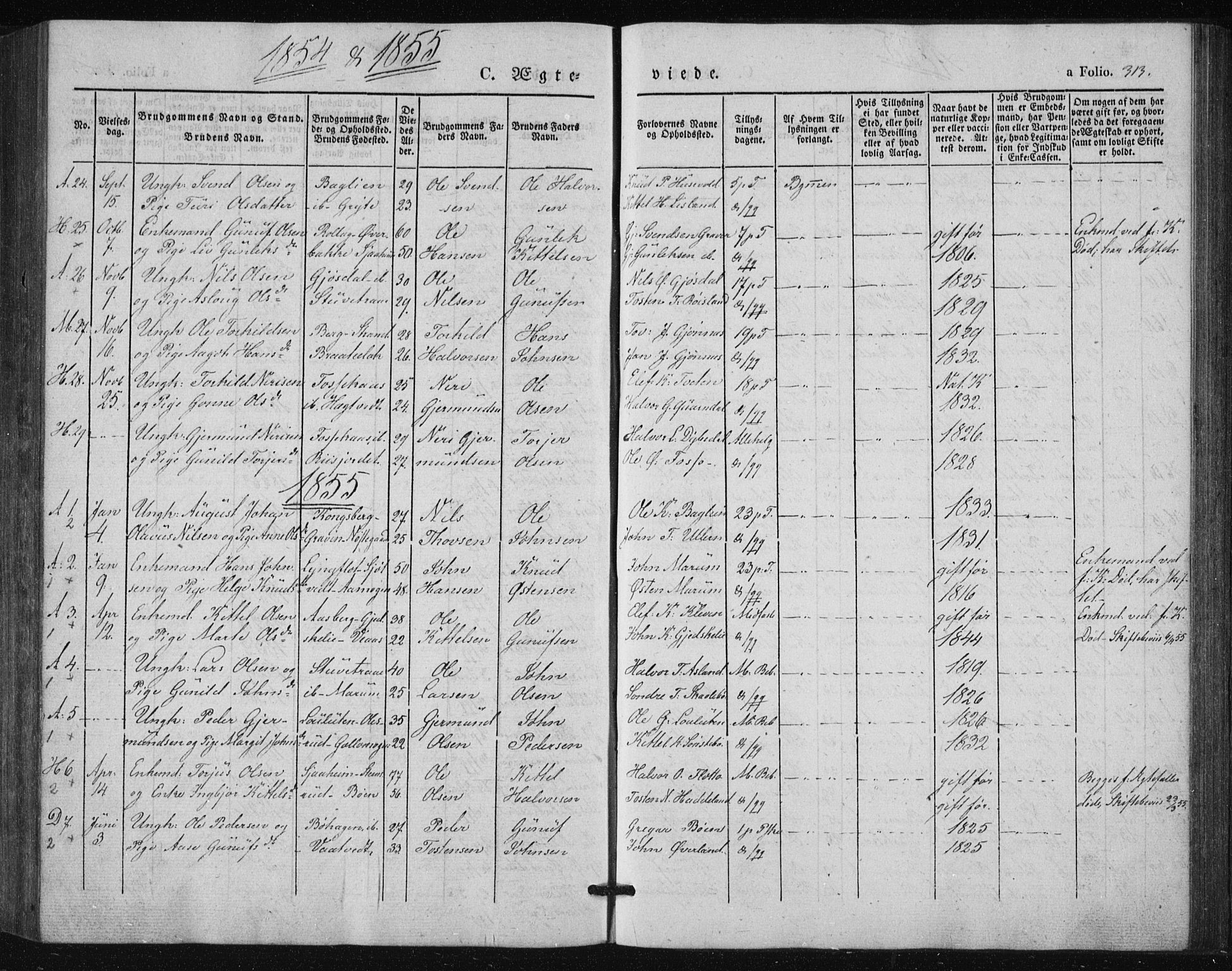 Tinn kirkebøker, SAKO/A-308/F/Fa/L0005: Parish register (official) no. I 5, 1844-1856, p. 313