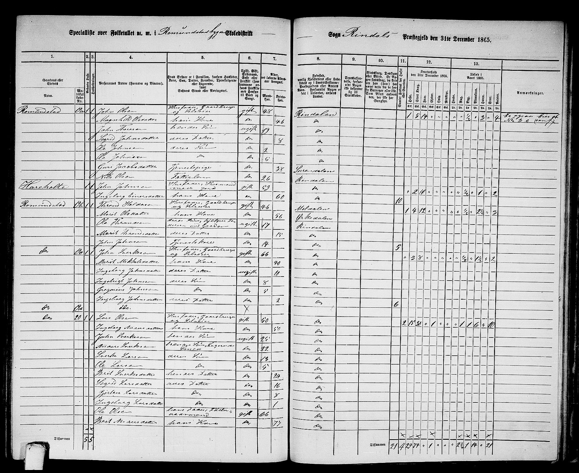 RA, 1865 census for Rindal, 1865, p. 78