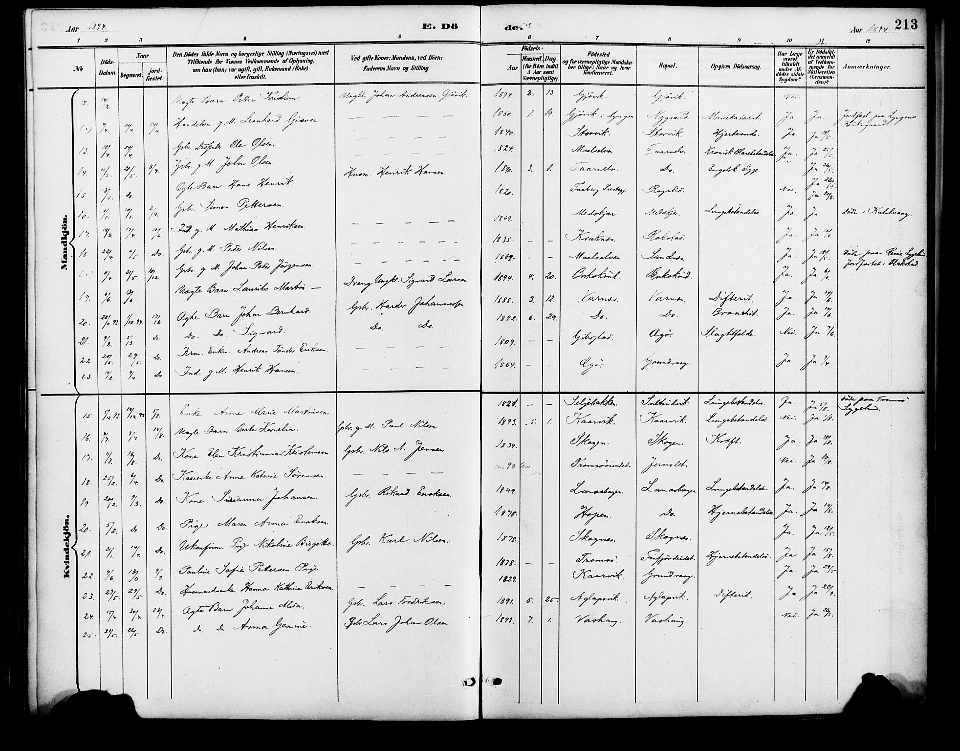 Lenvik sokneprestembete, SATØ/S-1310/H/Ha/Haa/L0013kirke: Parish register (official) no. 13, 1890-1898, p. 213