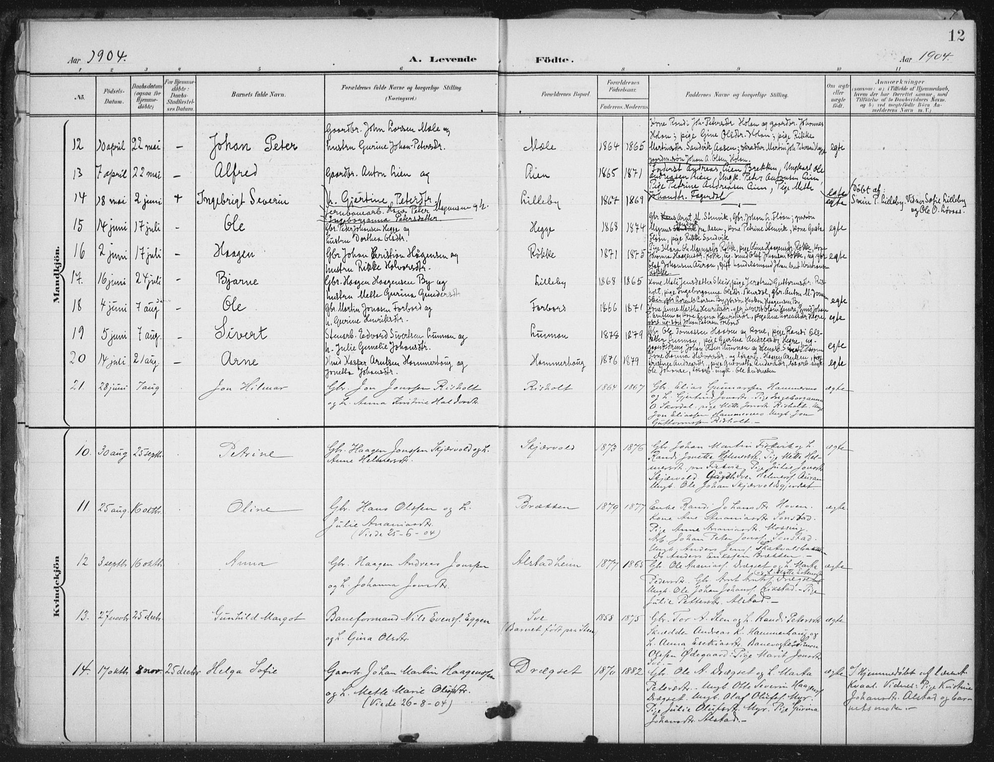 Ministerialprotokoller, klokkerbøker og fødselsregistre - Nord-Trøndelag, SAT/A-1458/712/L0101: Parish register (official) no. 712A02, 1901-1916, p. 12