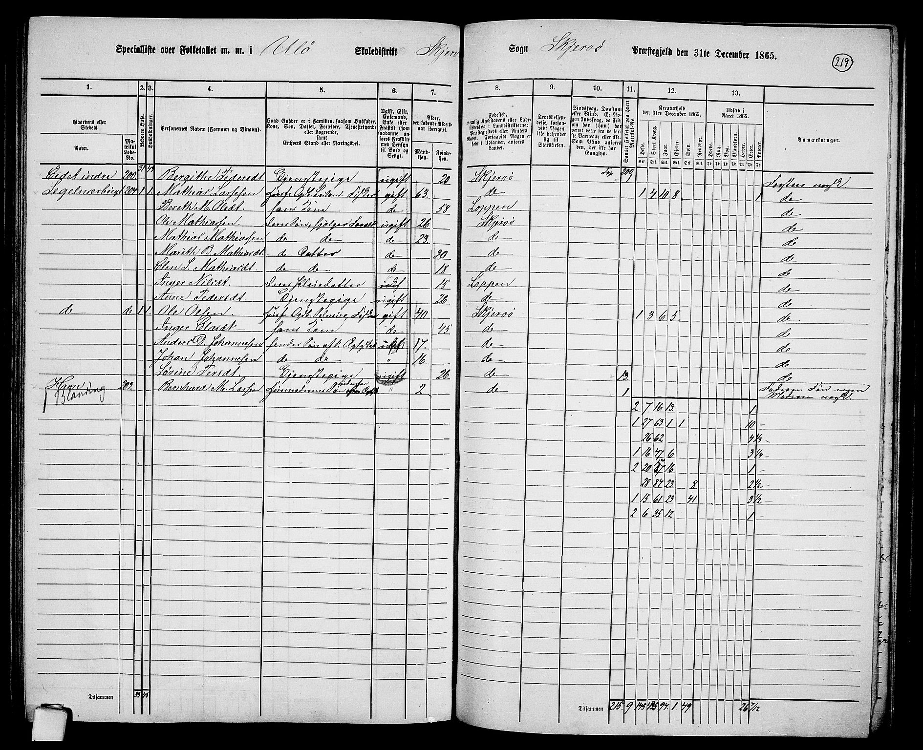 RA, 1865 census for Skjervøy, 1865, p. 100