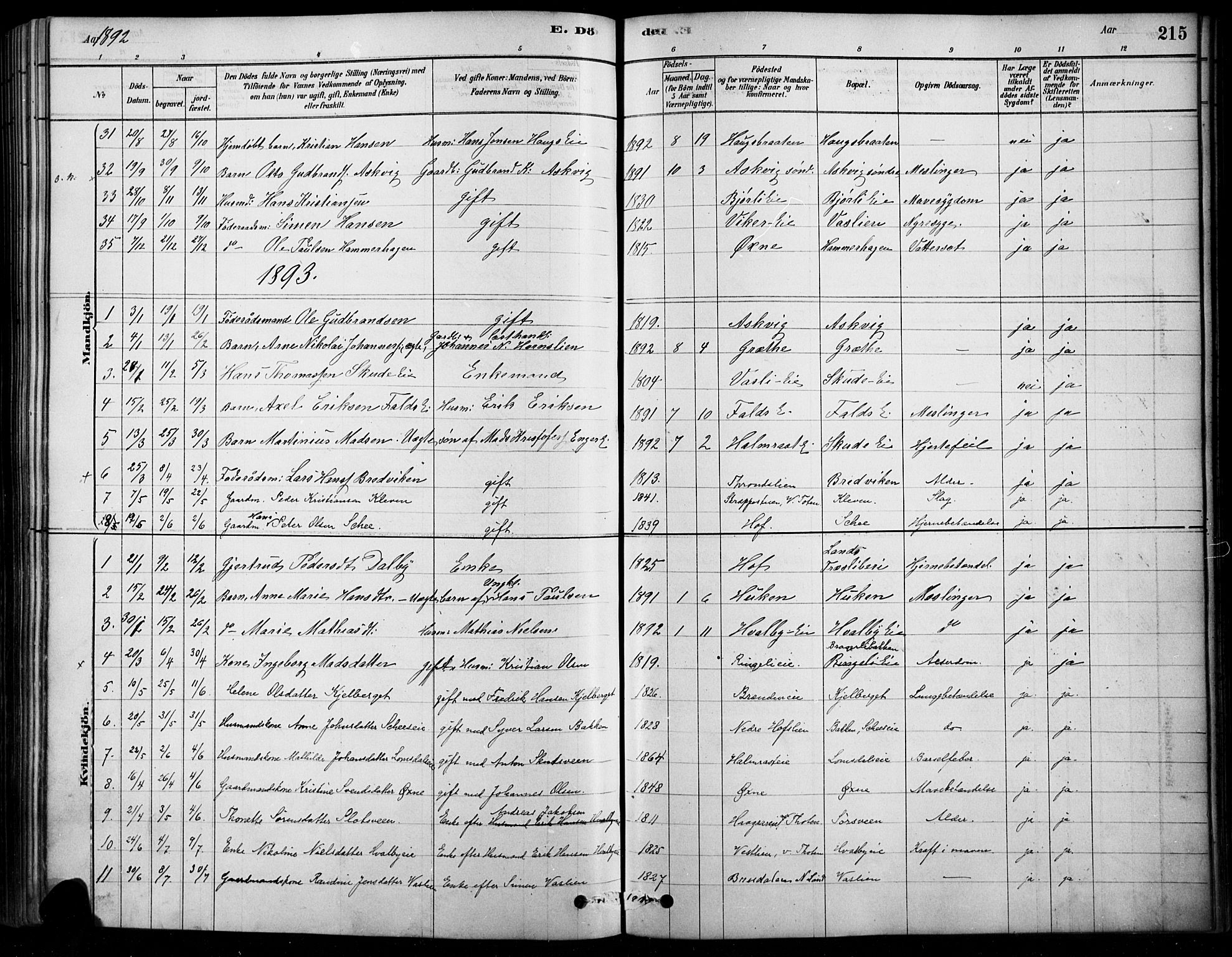 Søndre Land prestekontor, SAH/PREST-122/K/L0003: Parish register (official) no. 3, 1878-1894, p. 215
