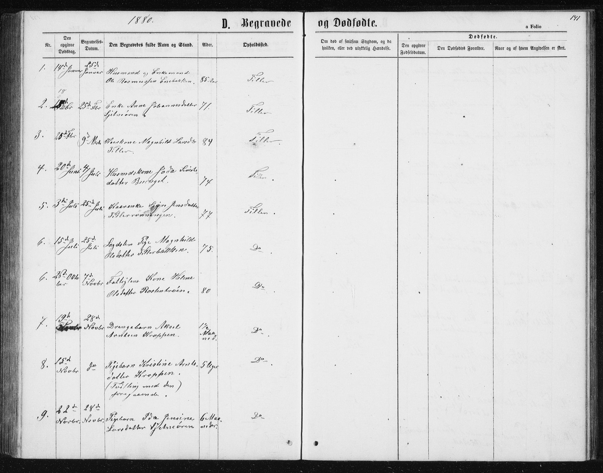 Ministerialprotokoller, klokkerbøker og fødselsregistre - Sør-Trøndelag, SAT/A-1456/621/L0459: Parish register (copy) no. 621C02, 1866-1895, p. 141
