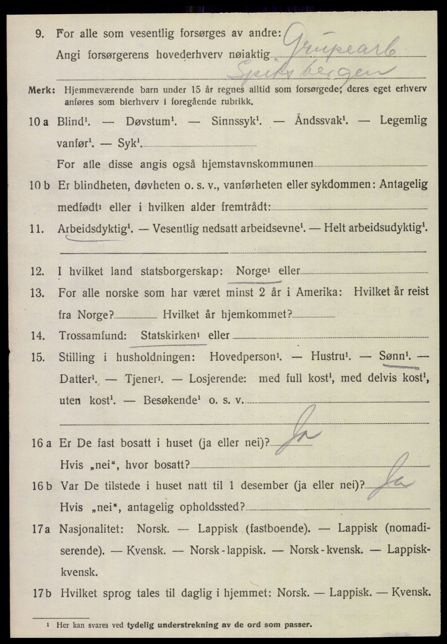 SAT, 1920 census for Fauske, 1920, p. 11393