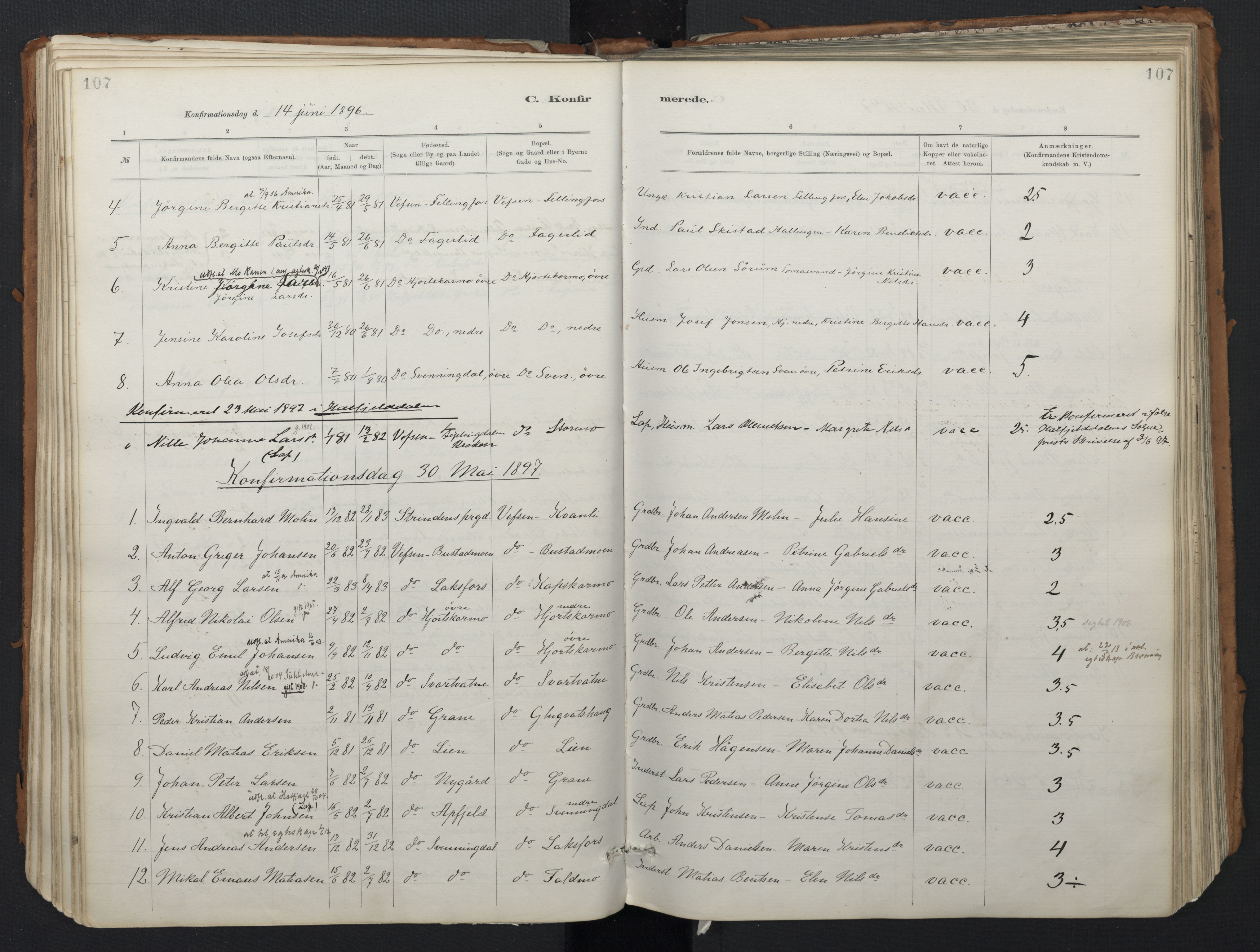 Ministerialprotokoller, klokkerbøker og fødselsregistre - Nordland, SAT/A-1459/824/L0338: Parish register (official) no. 824A01, 1880-1915, p. 107