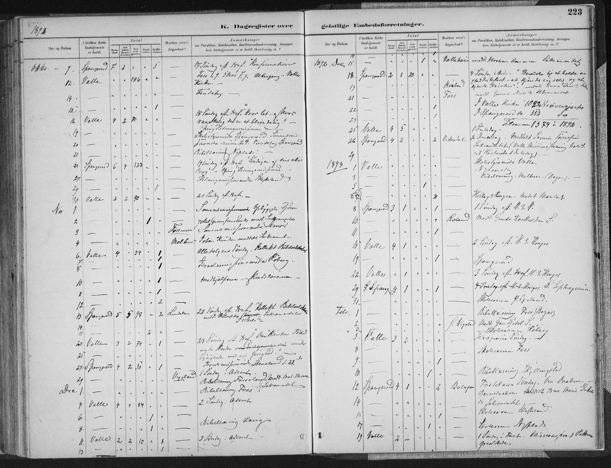 Sør-Audnedal sokneprestkontor, SAK/1111-0039/F/Fa/Faa/L0004: Parish register (official) no. A 4, 1884-1909, p. 223