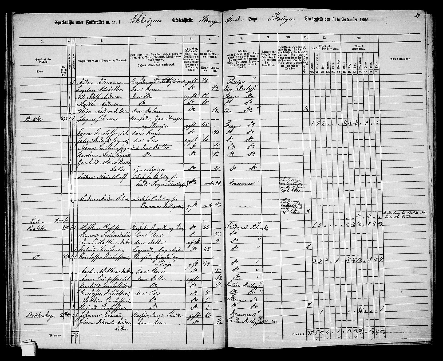 RA, 1865 census for Skoger, 1865, p. 66