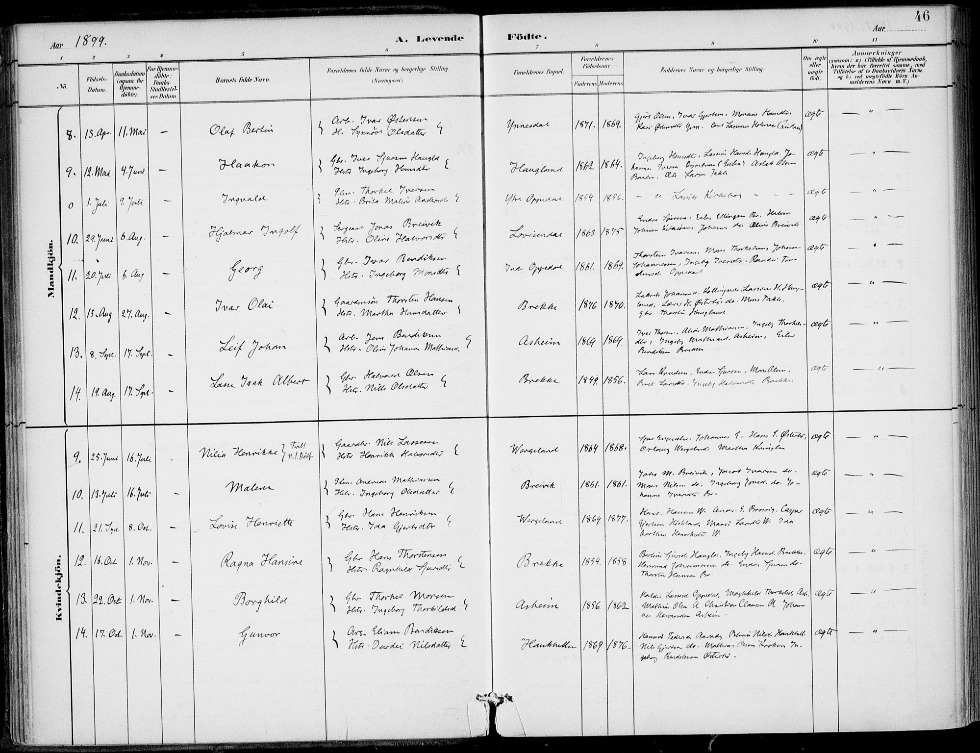 Gulen sokneprestembete, SAB/A-80201/H/Haa/Haac/L0002: Parish register (official) no. C  2, 1882-1914, p. 46