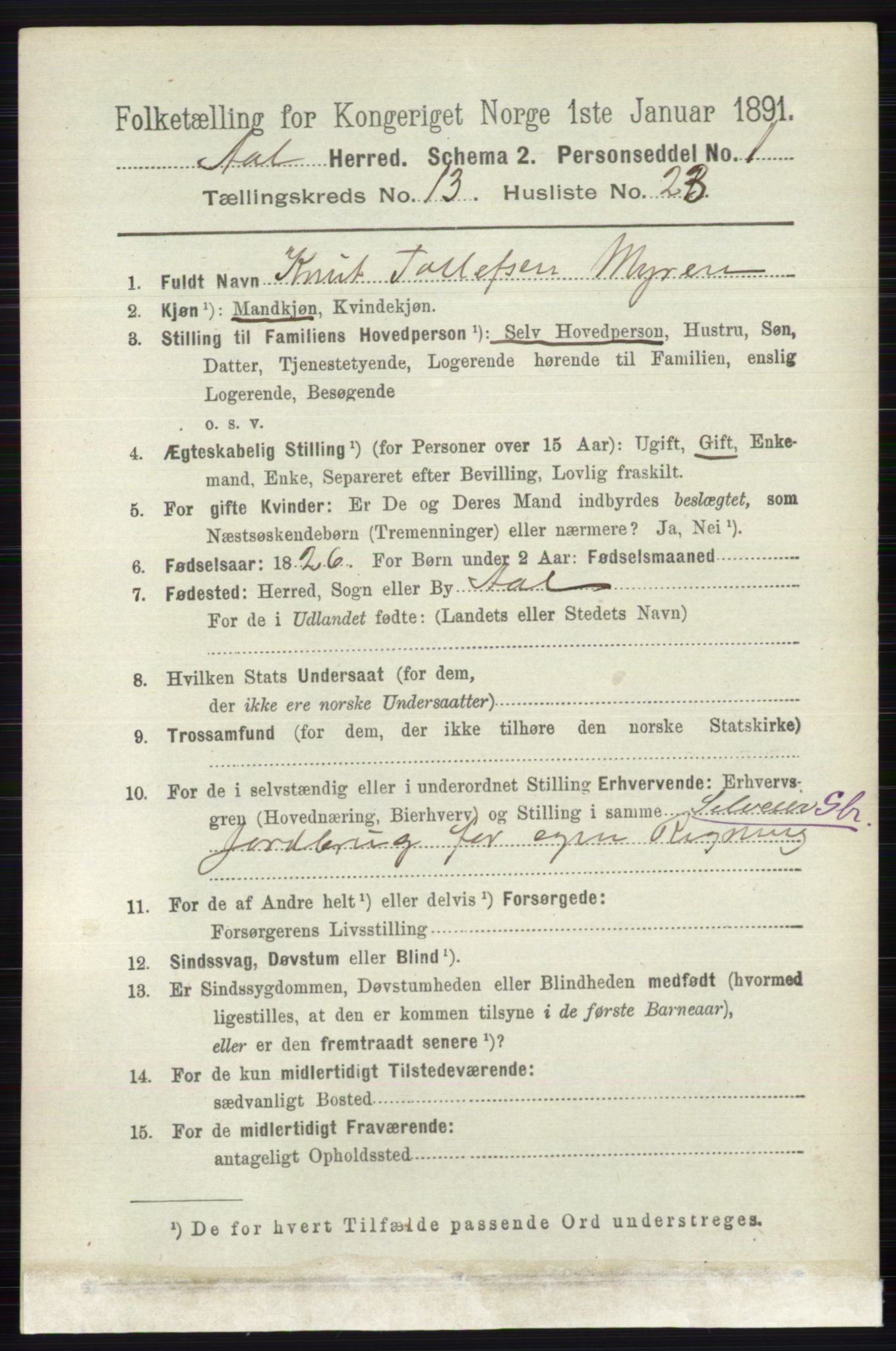 RA, 1891 census for 0619 Ål, 1891, p. 3381