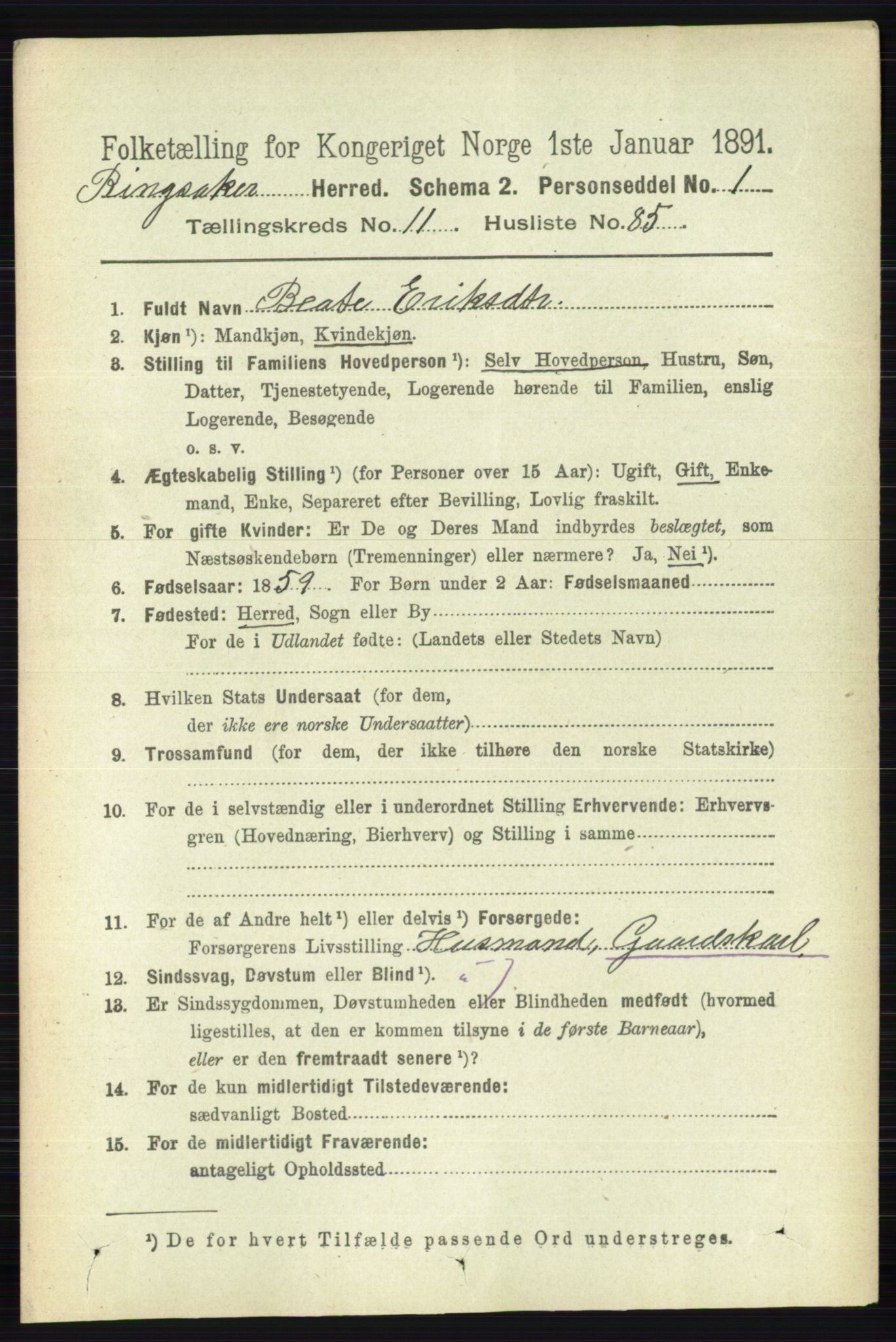 RA, 1891 census for 0412 Ringsaker, 1891, p. 6683