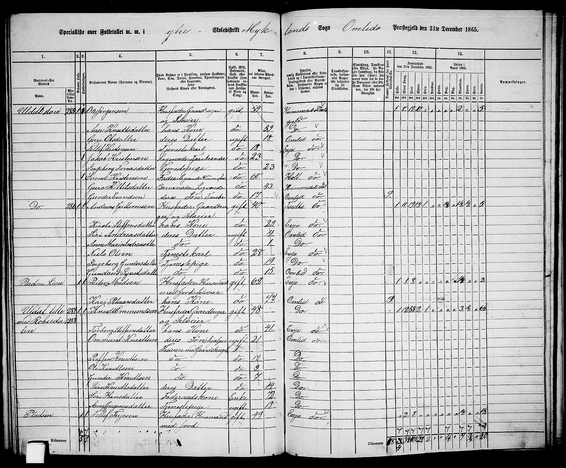 RA, 1865 census for Åmli, 1865, p. 96