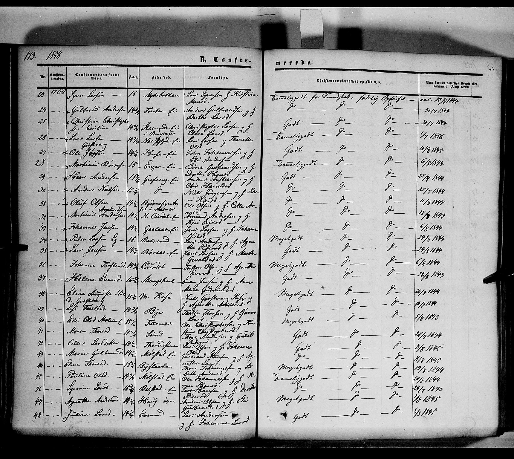 Nes prestekontor, Hedmark, SAH/PREST-020/K/Ka/L0004: Parish register (official) no. 4, 1852-1886, p. 173