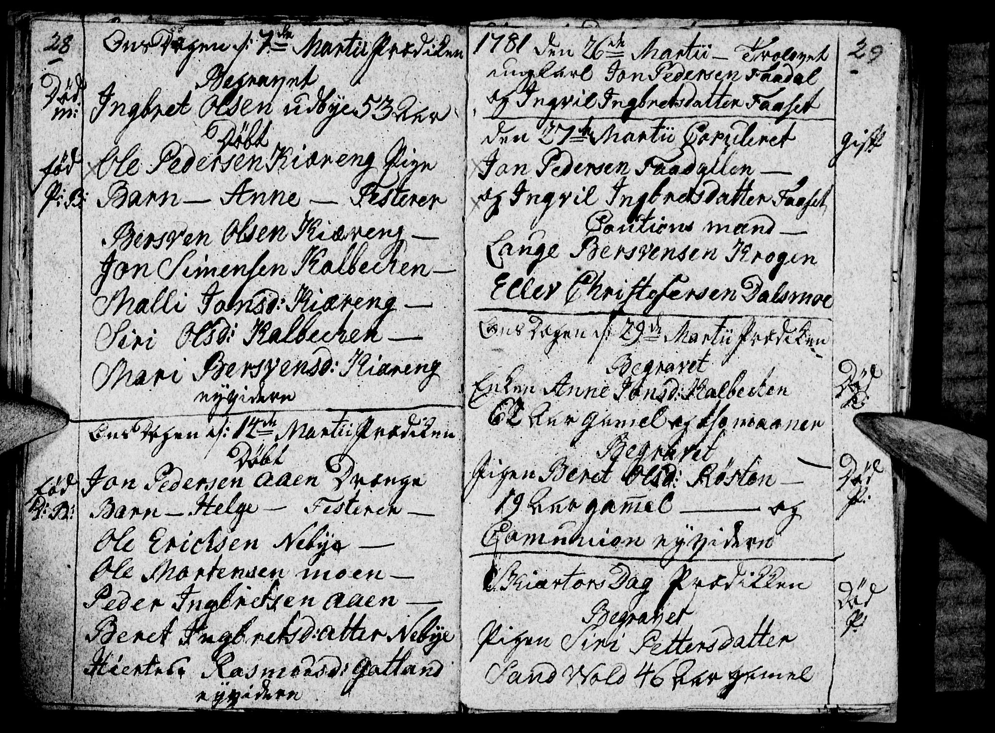 Tynset prestekontor, AV/SAH-PREST-058/H/Ha/Haa/L0012: Parish register (official) no. 12, 1780-1784, p. 28-29